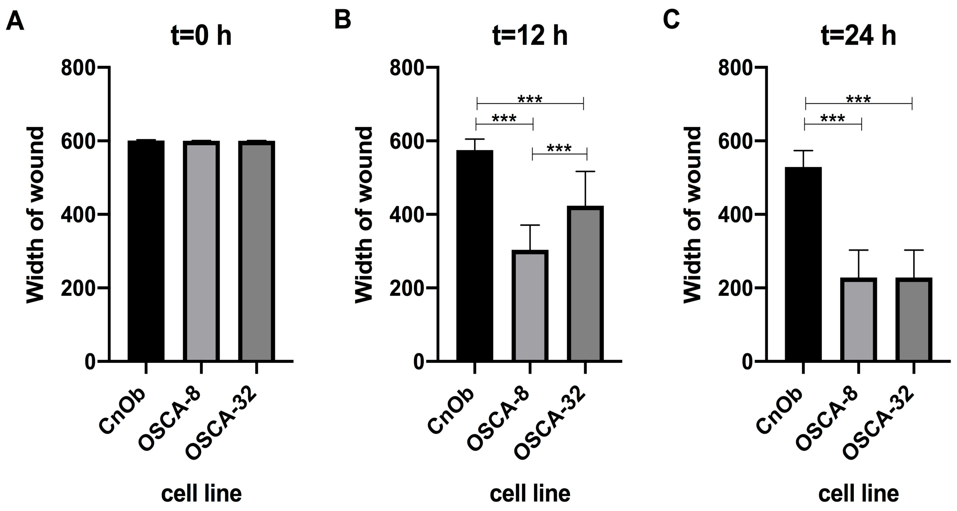 Ijms 25 03989 g005 Ijms 25 03989 g005
