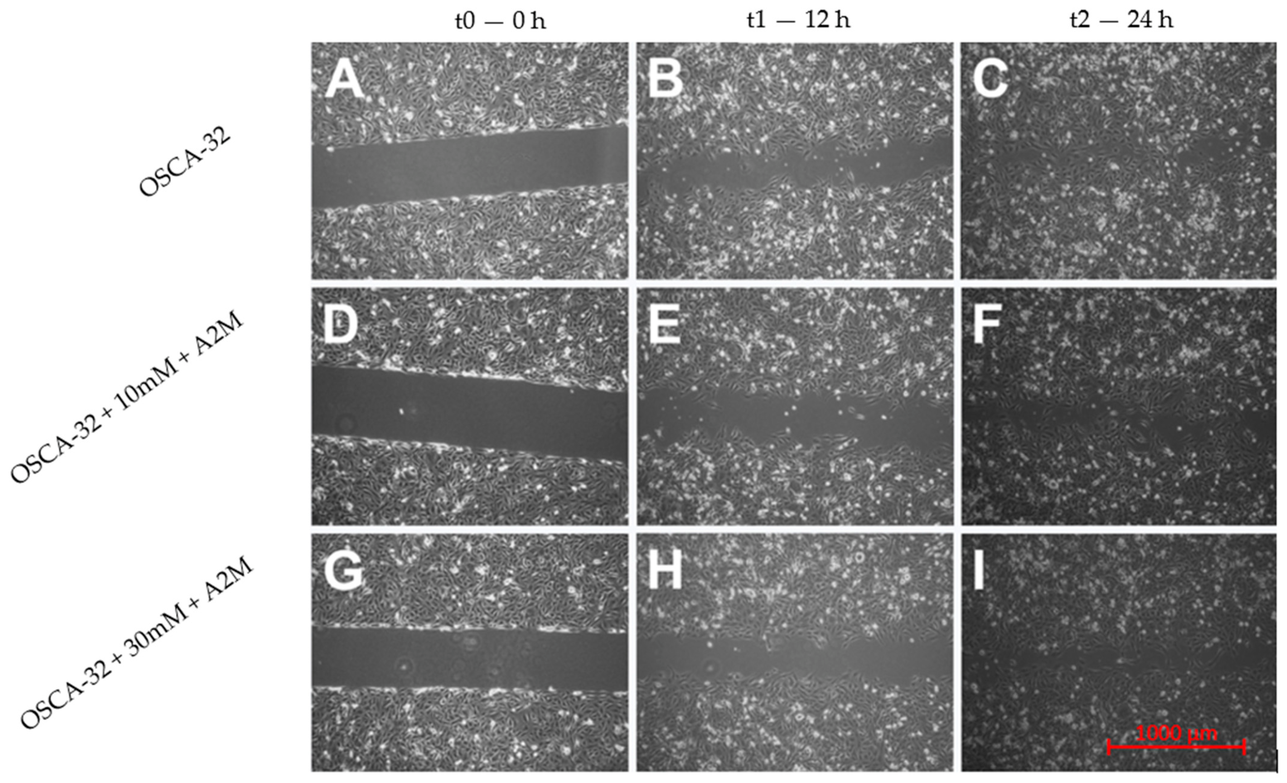 Ijms 25 03989 g007 Ijms 25 03989 g007