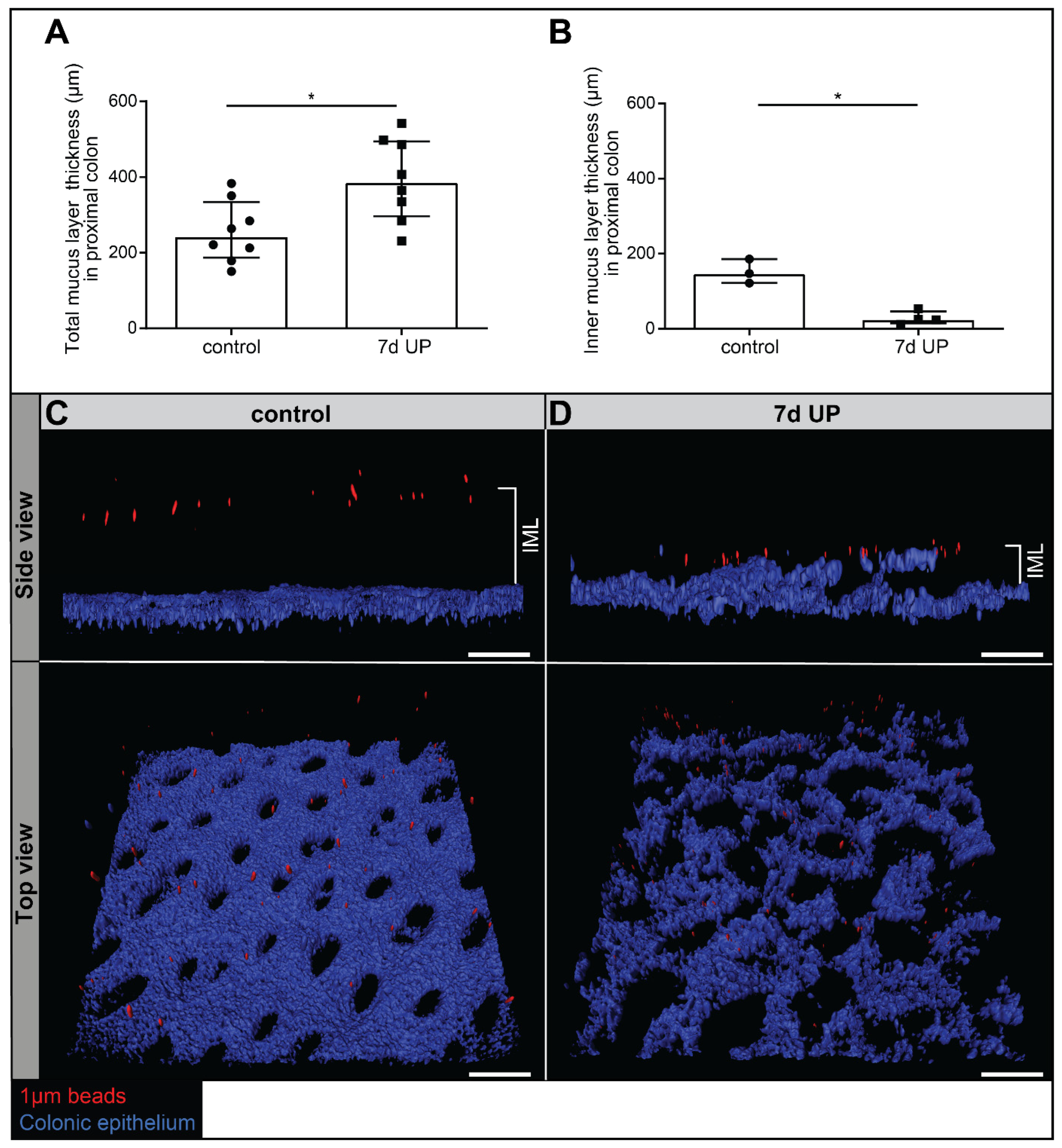 Ijms 25 04000 g001 Ijms 25 04000 g001
