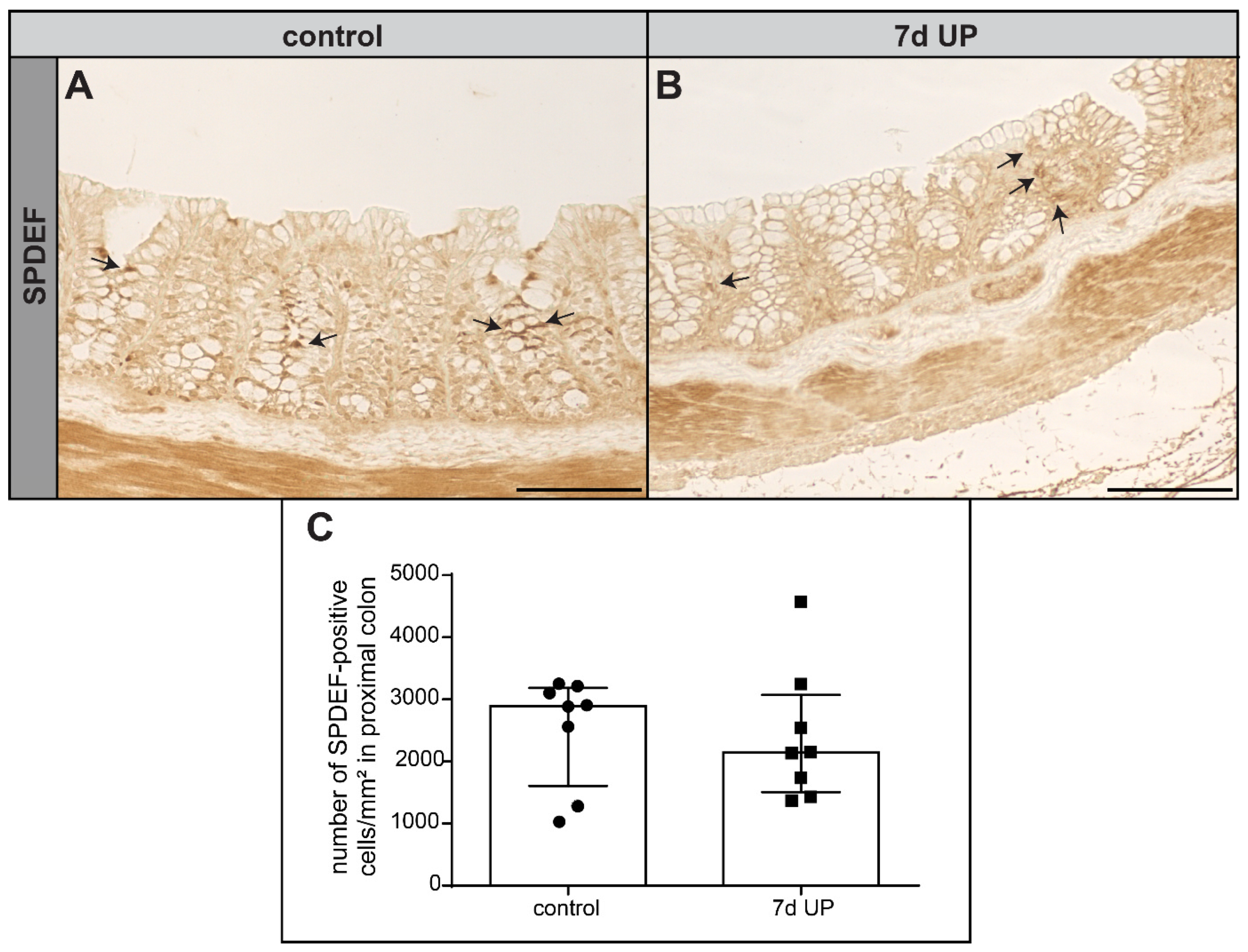Ijms 25 04000 g003 Ijms 25 04000 g003