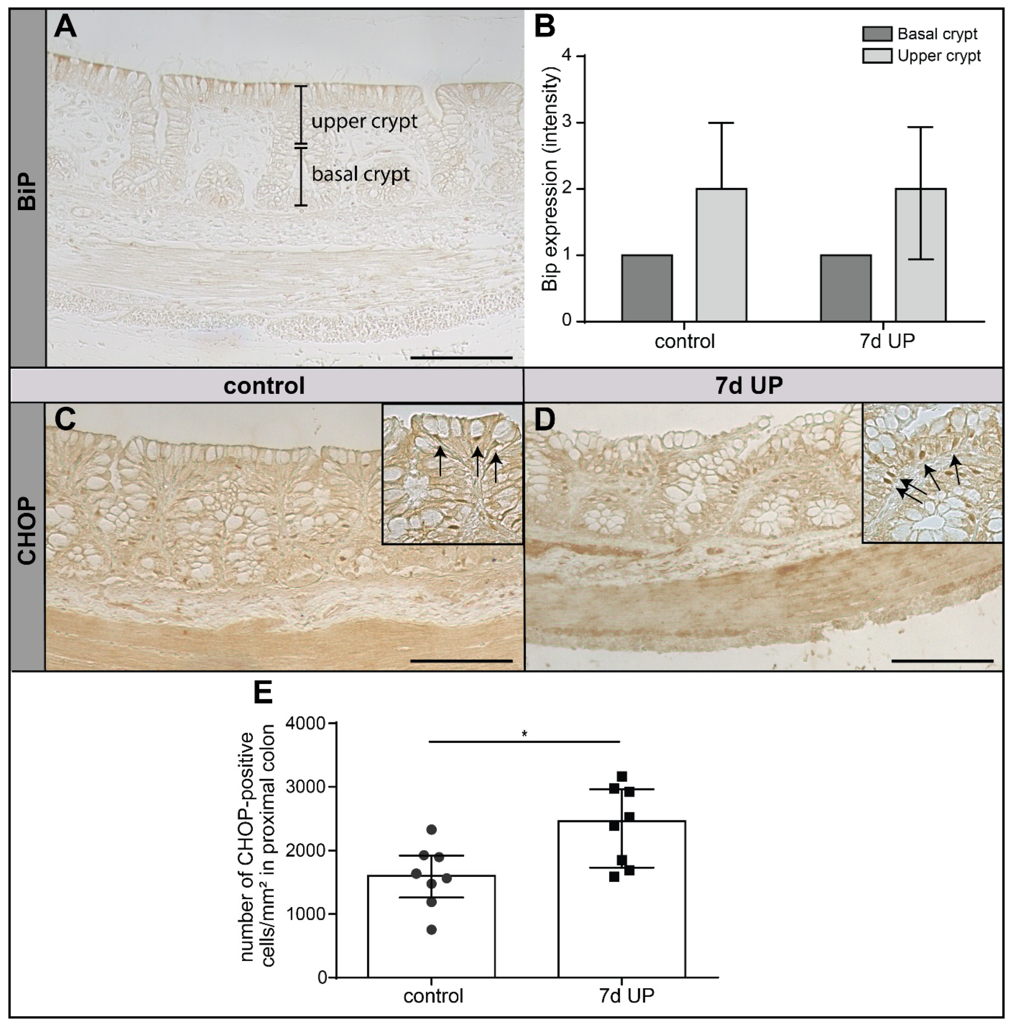 Ijms 25 04000 g004 Ijms 25 04000 g004