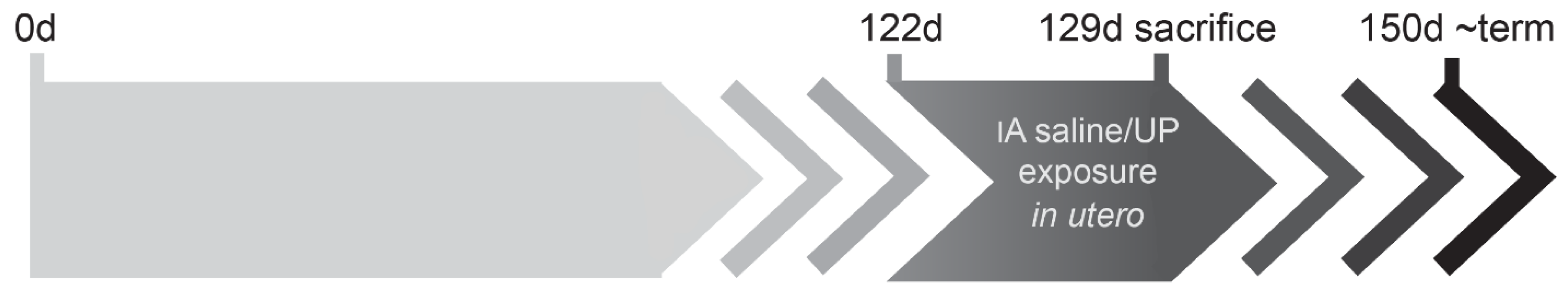 Ijms 25 04000 g011 Ijms 25 04000 g011