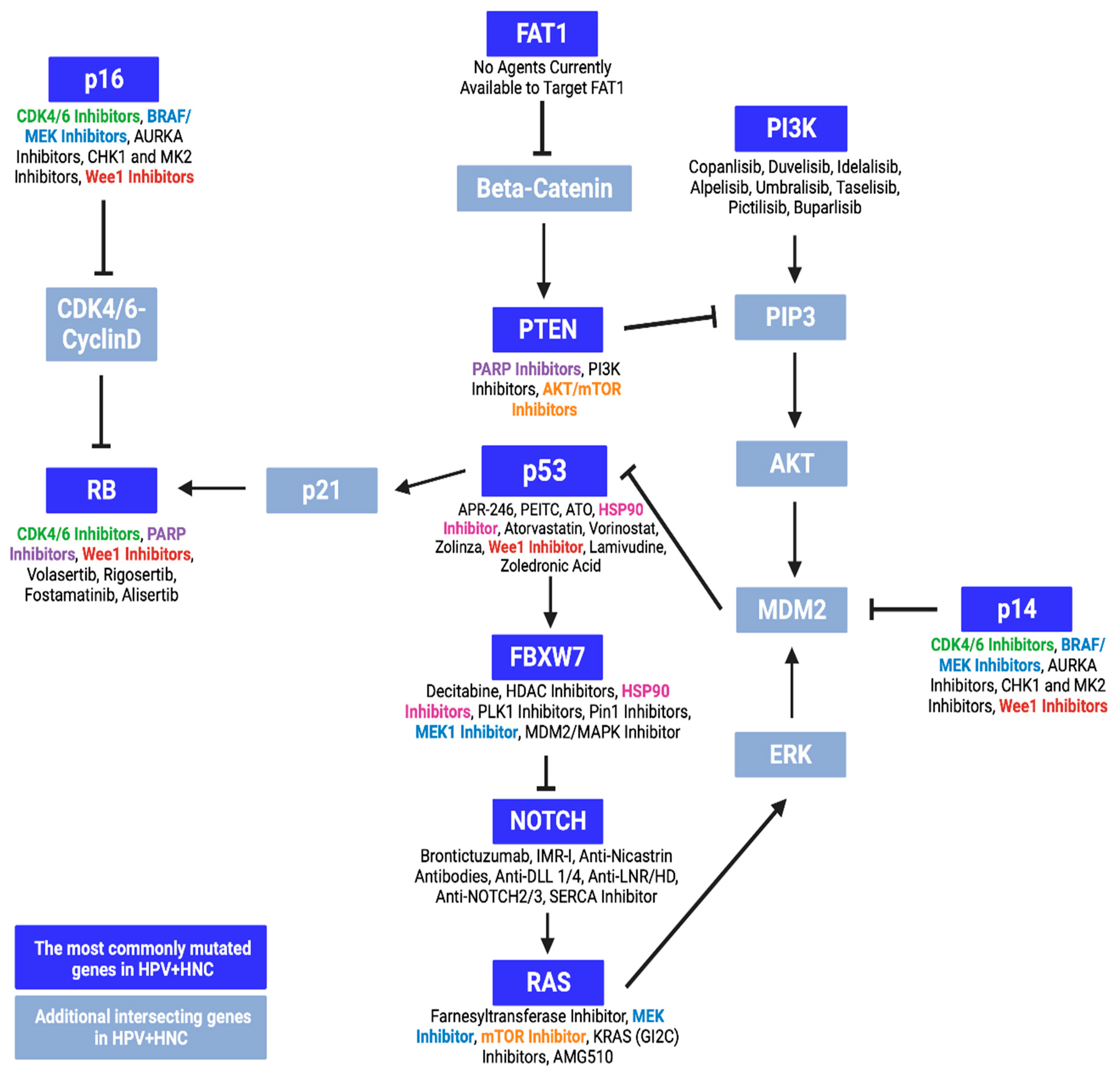 Ijms 25 04009 g005 Ijms 25 04009 g005