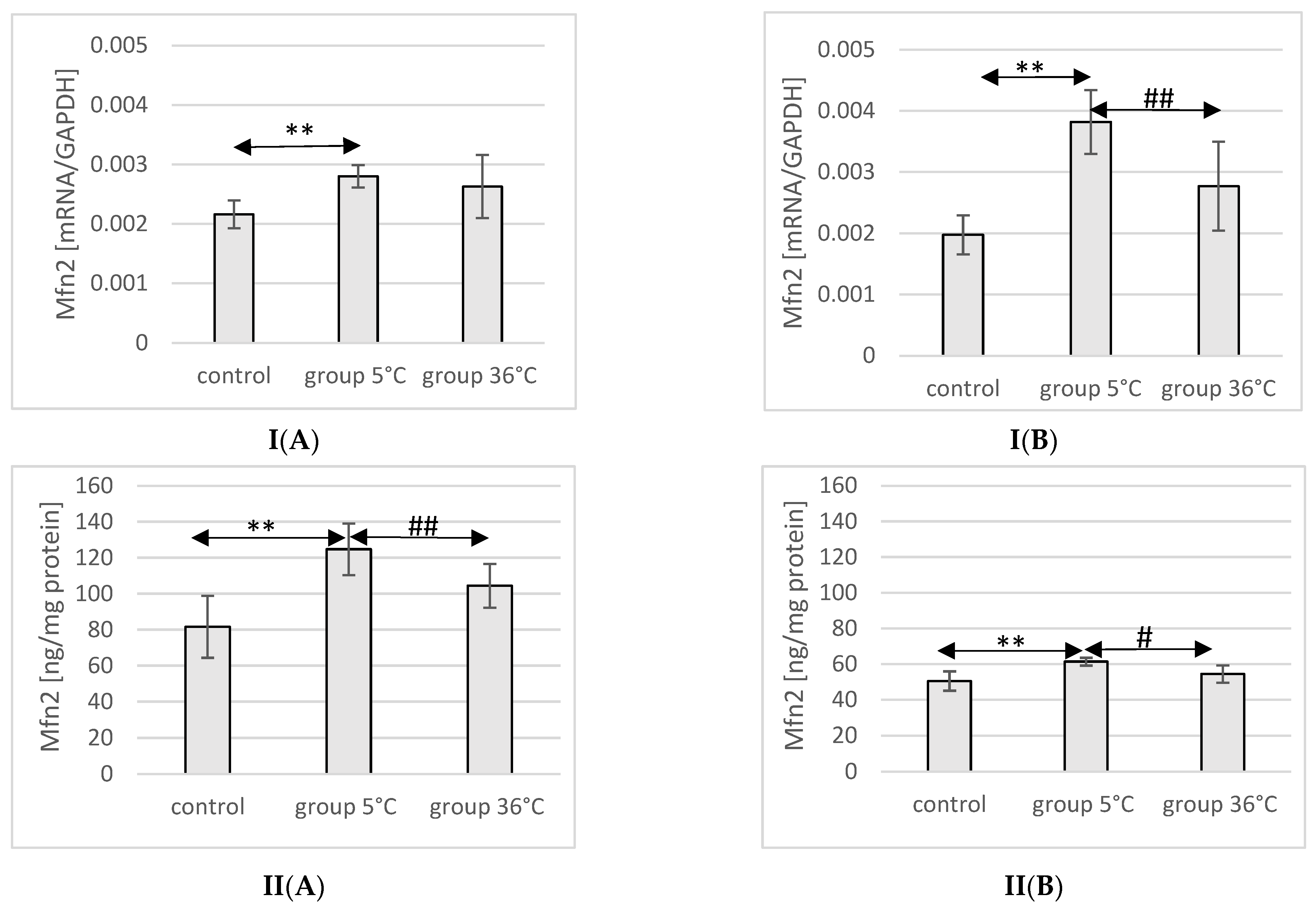 Ijms 25 04055 g005 Ijms 25 04055 g005
