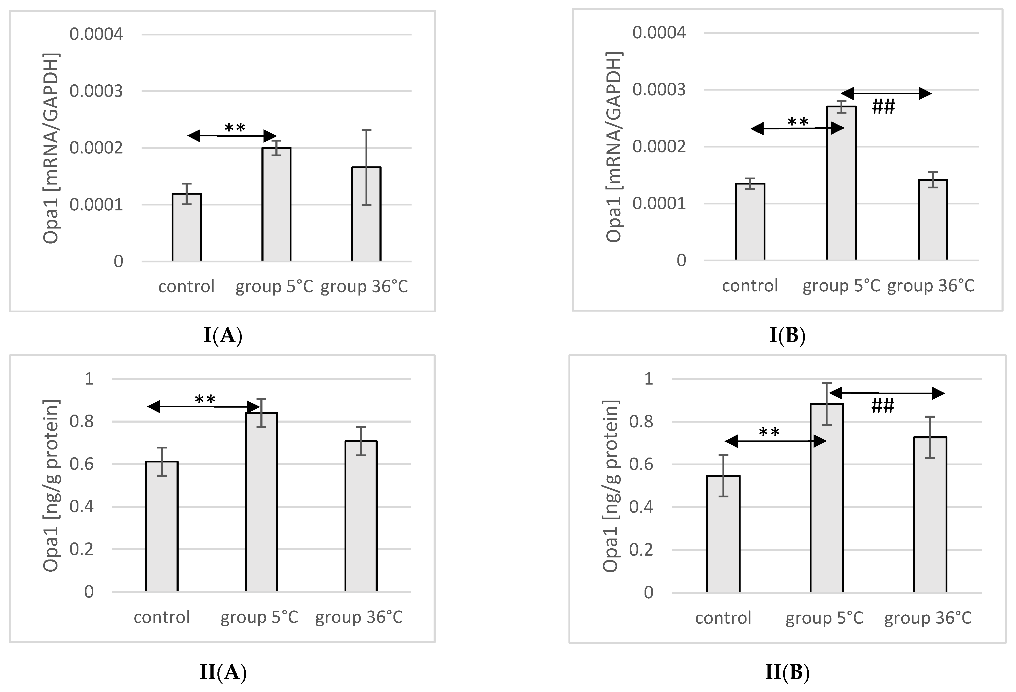 Ijms 25 04055 g008 Ijms 25 04055 g008