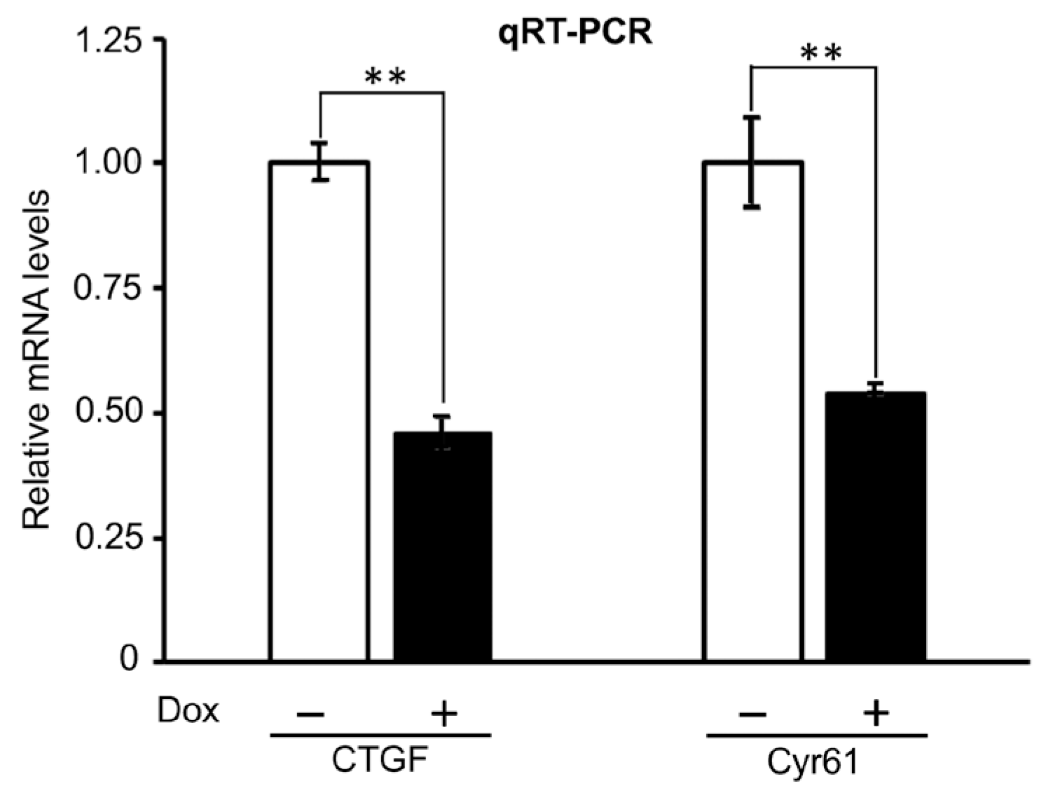 Ijms 25 04064 g005 Ijms 25 04064 g005