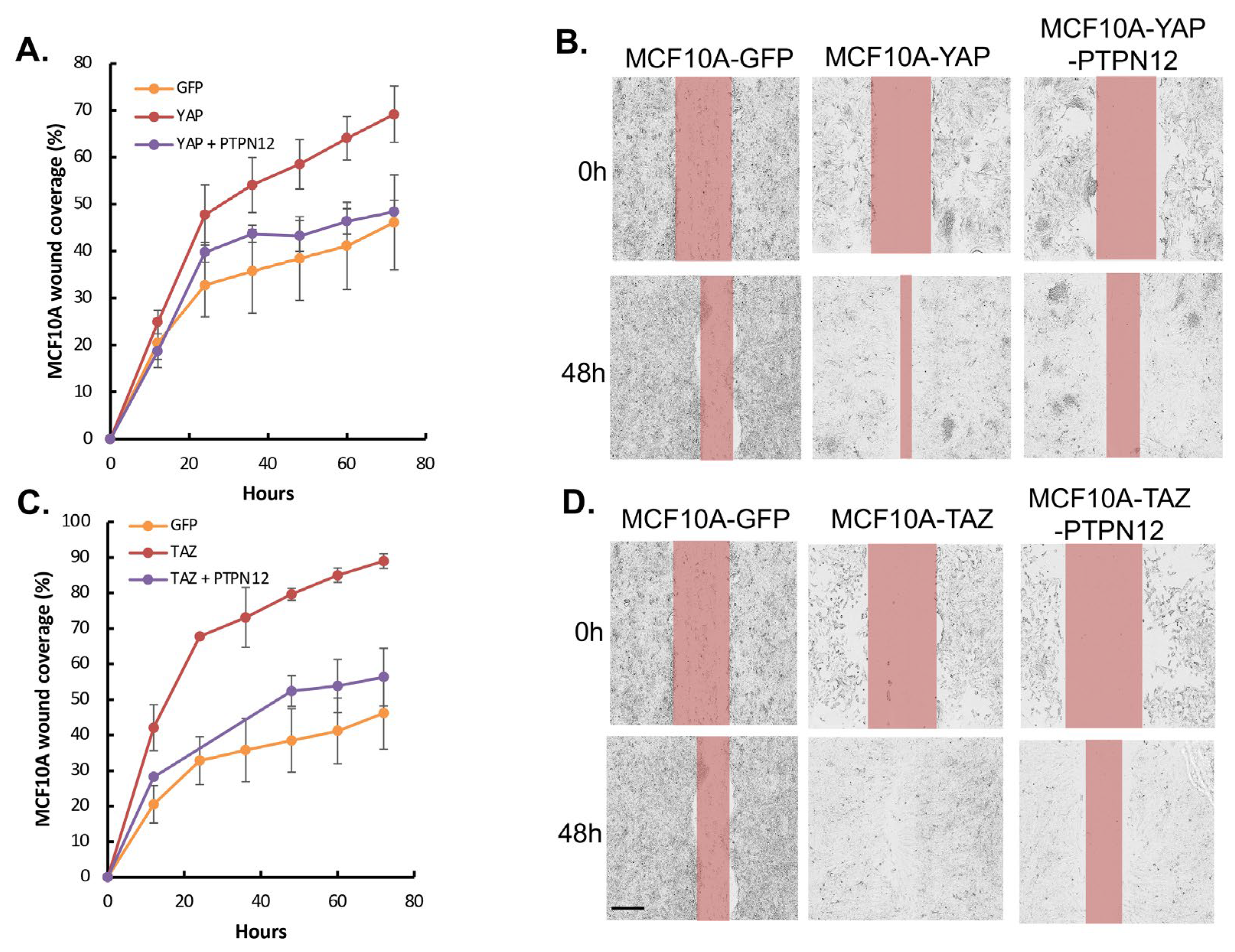 Ijms 25 04064 g009 Ijms 25 04064 g009