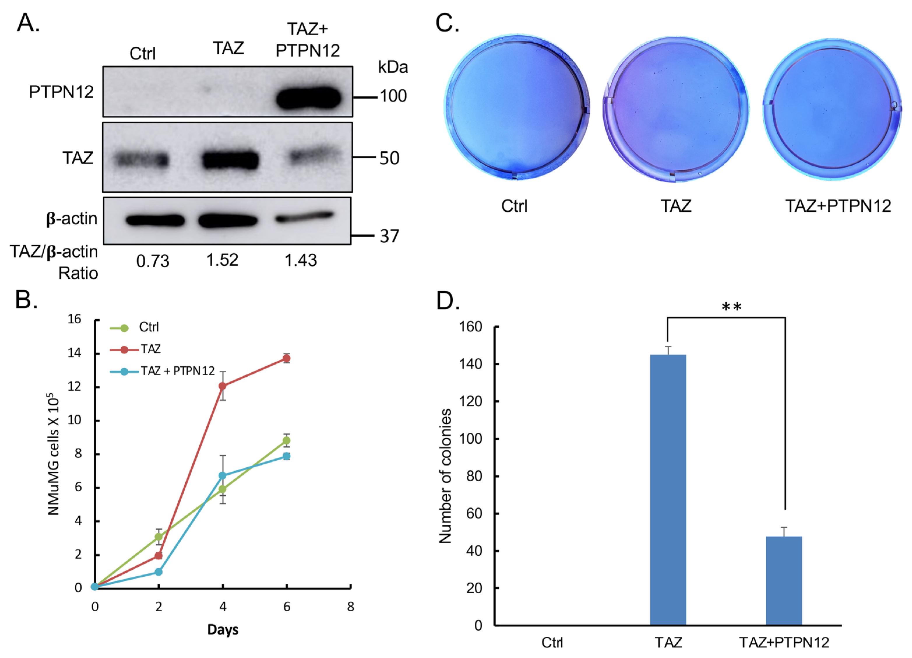 Ijms 25 04064 g010 Ijms 25 04064 g010