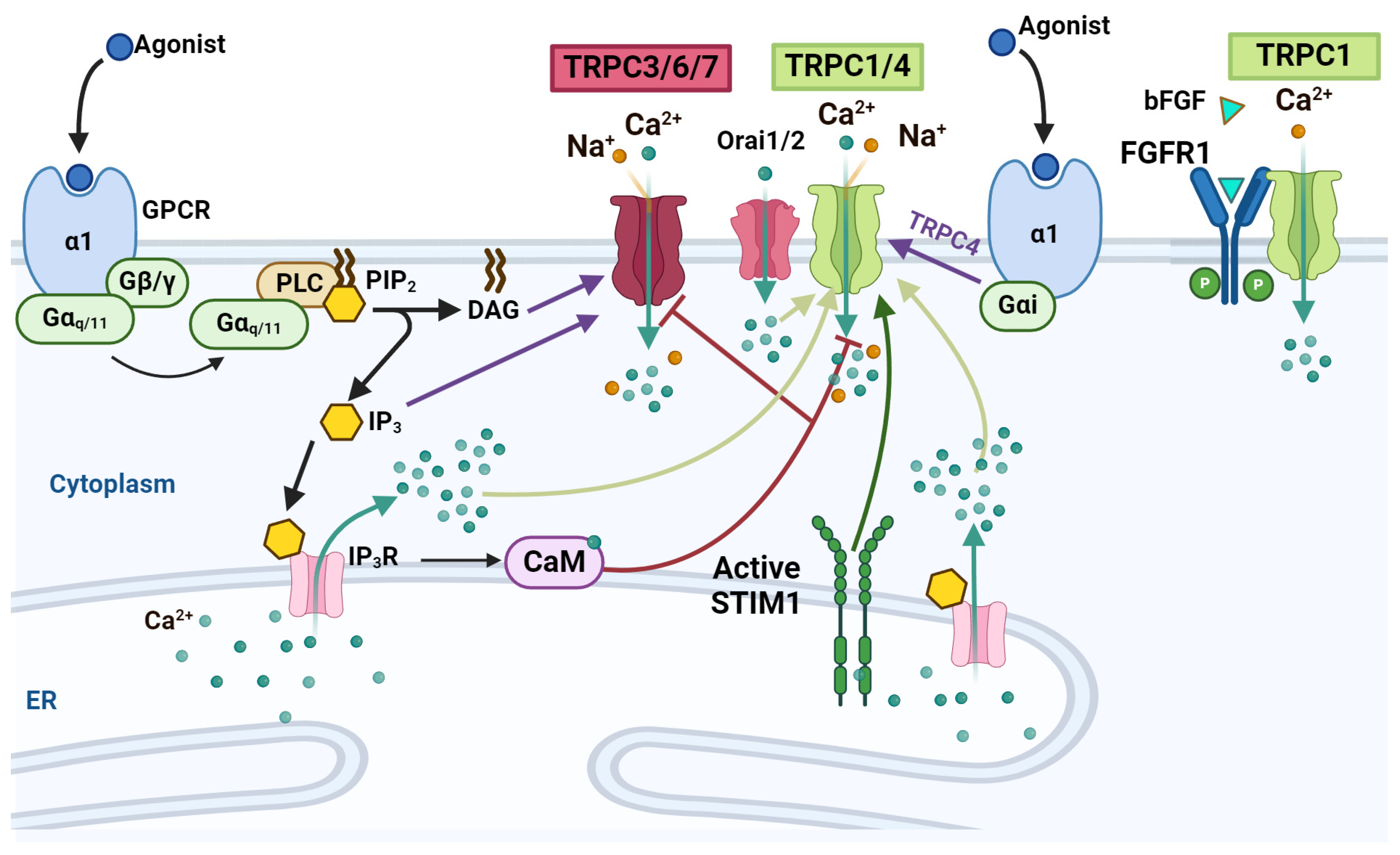 Ijms 25 04073 g003 Ijms 25 04073 g003