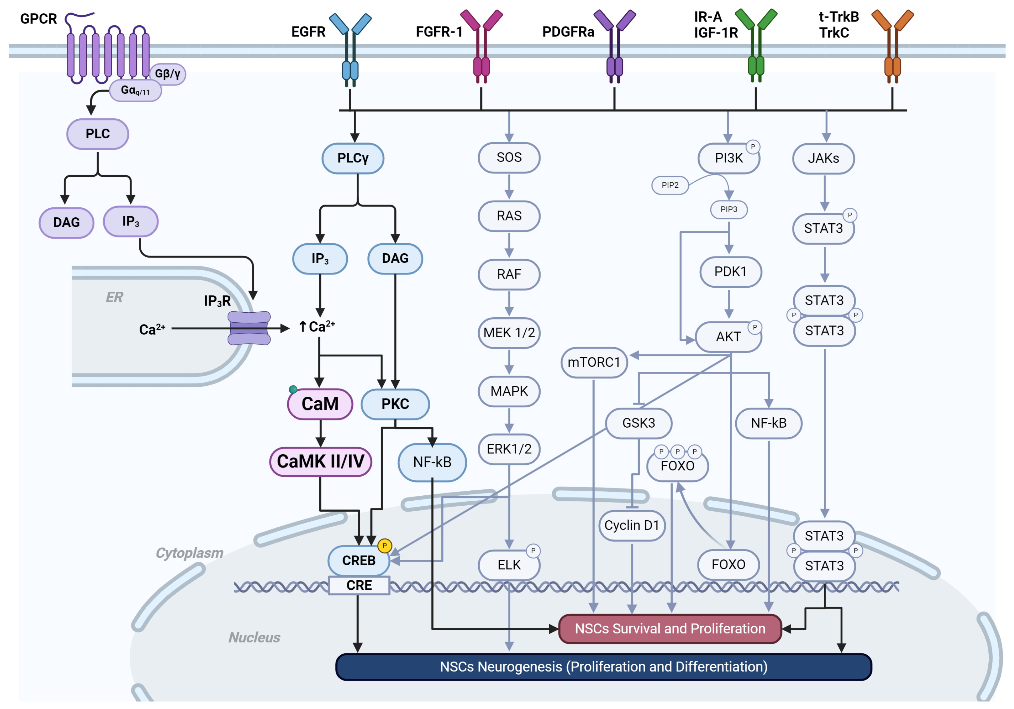 Ijms 25 04073 g006 Ijms 25 04073 g006