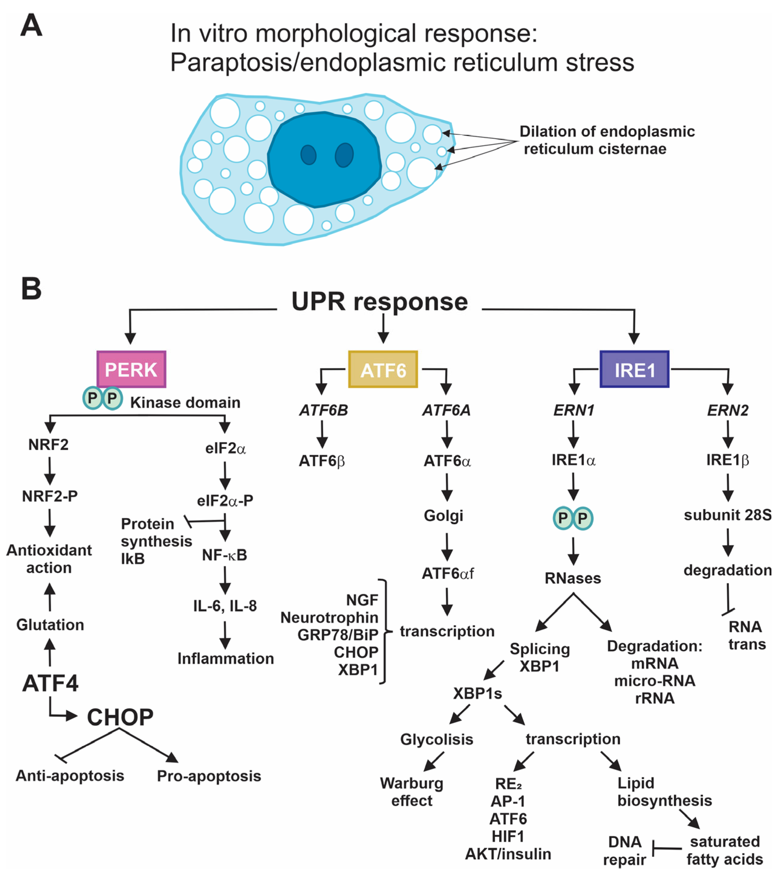 Ijms 25 04078 g002 Ijms 25 04078 g002