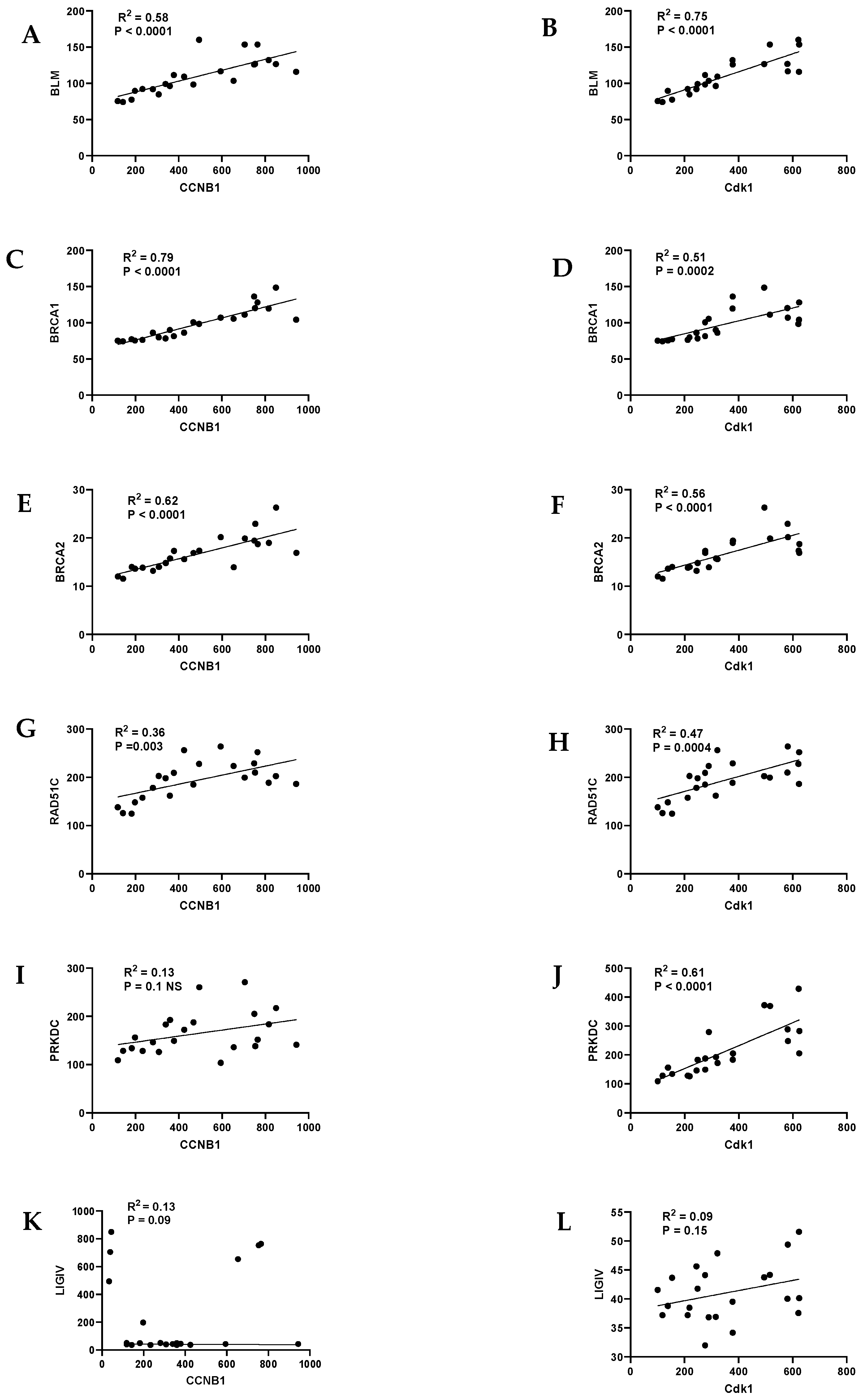 Ijms 25 04092 g002 Ijms 25 04092 g002