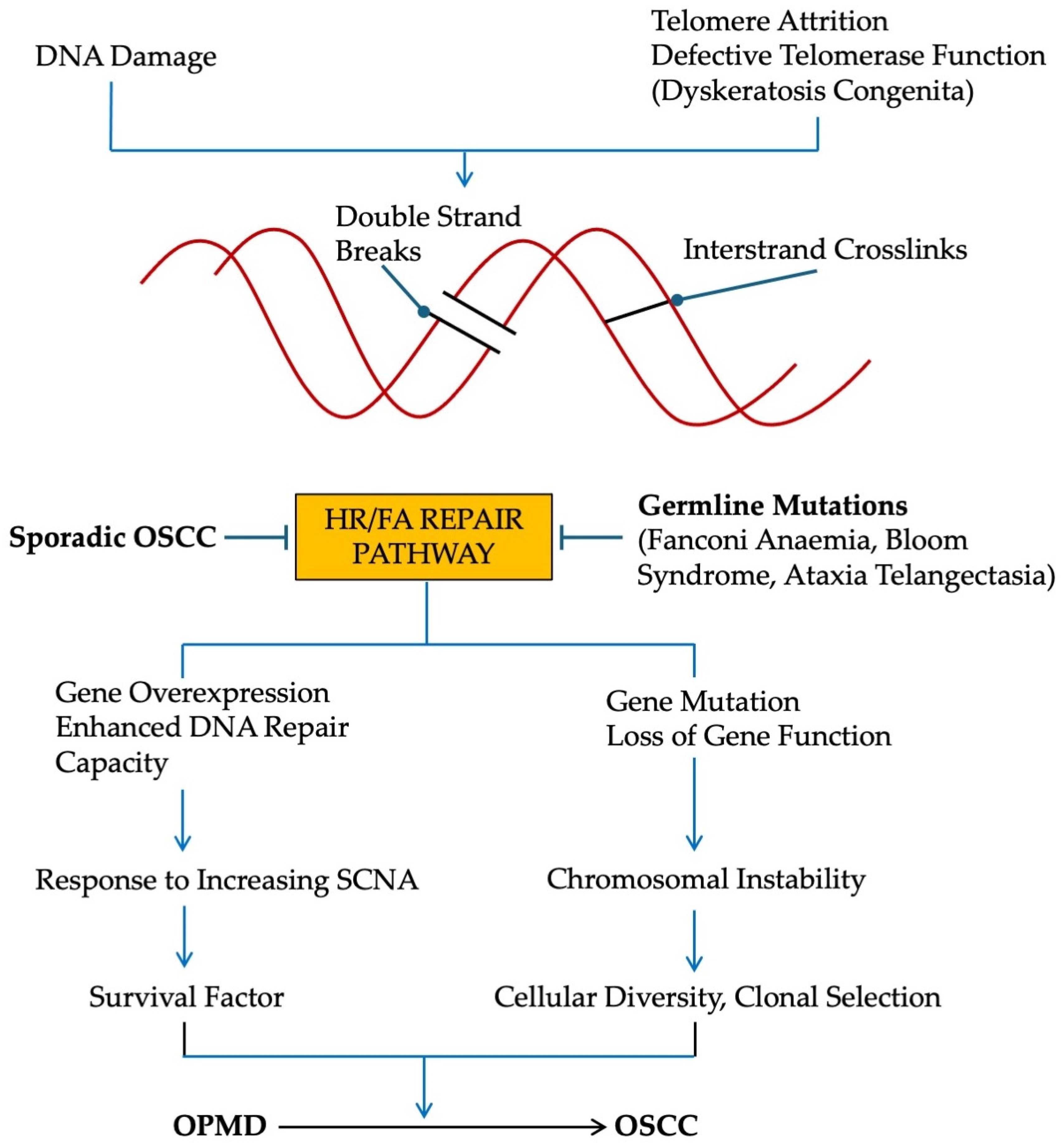 Ijms 25 04092 g004 Ijms 25 04092 g004