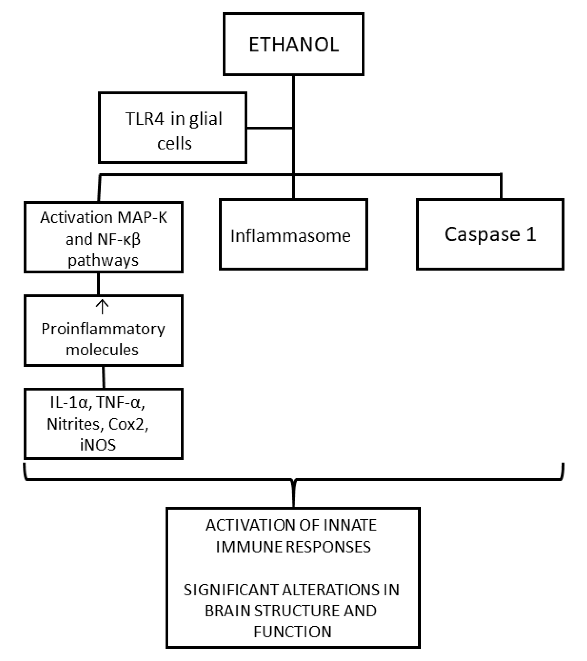 Ijms 25 04100 g002 Ijms 25 04100 g002