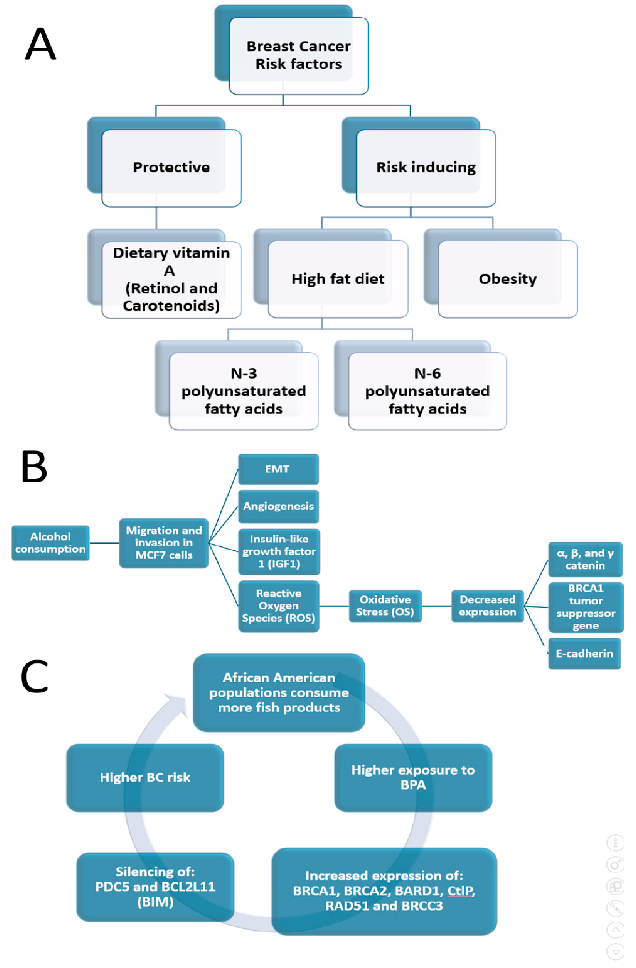 Ijms 25 04113 g002 Ijms 25 04113 g002