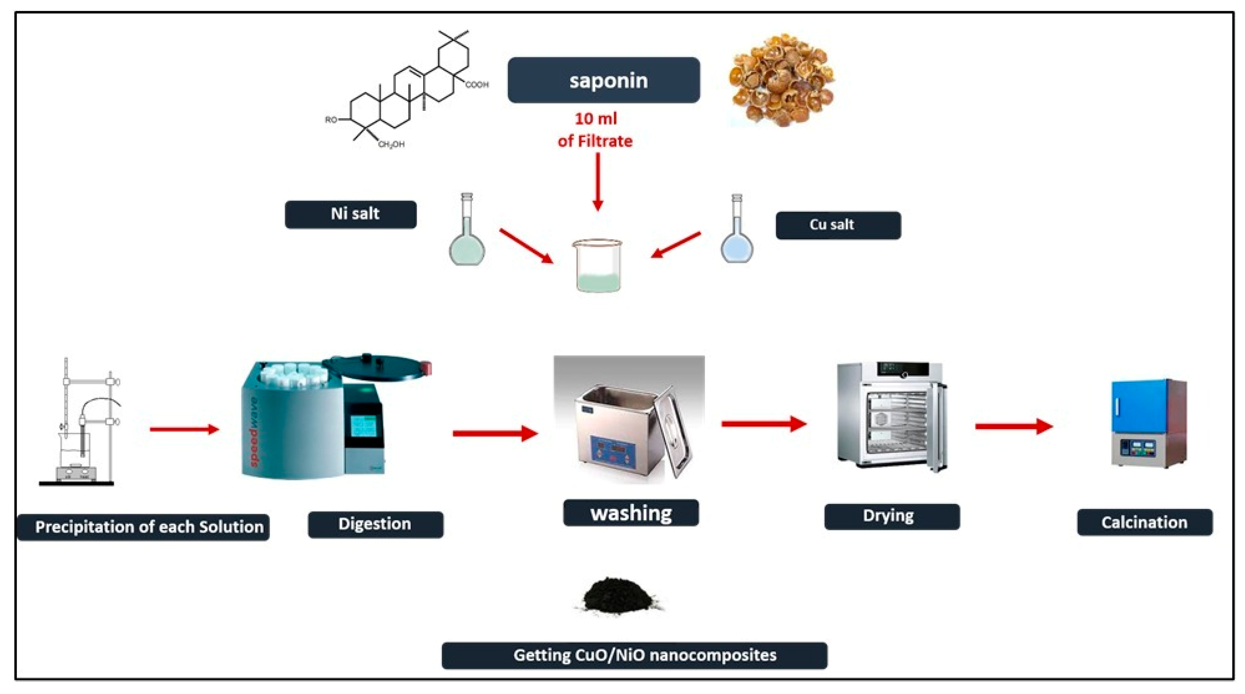 Ijms 25 04119 sch001