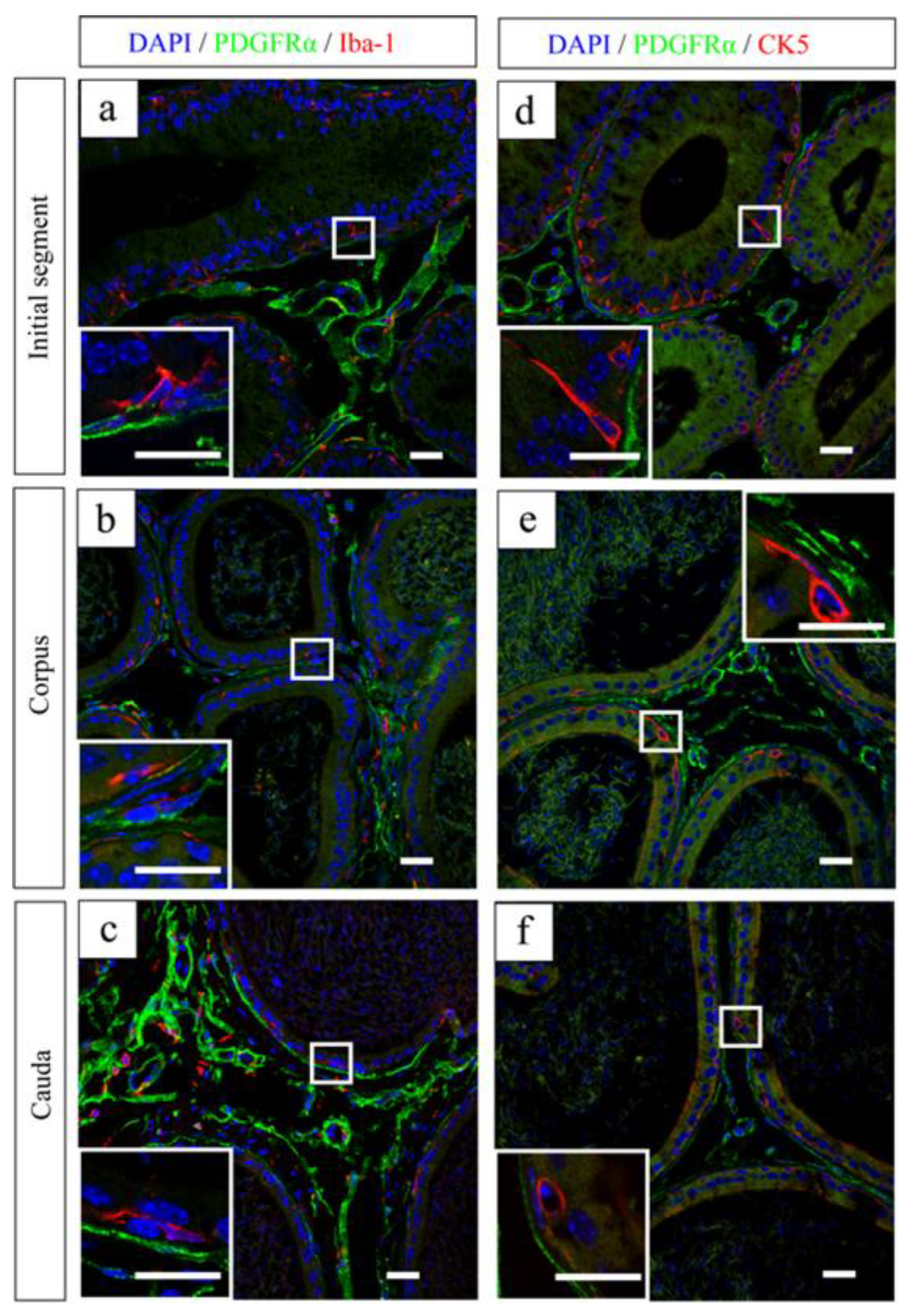 Ijms 25 04128 g004 Ijms 25 04128 g004