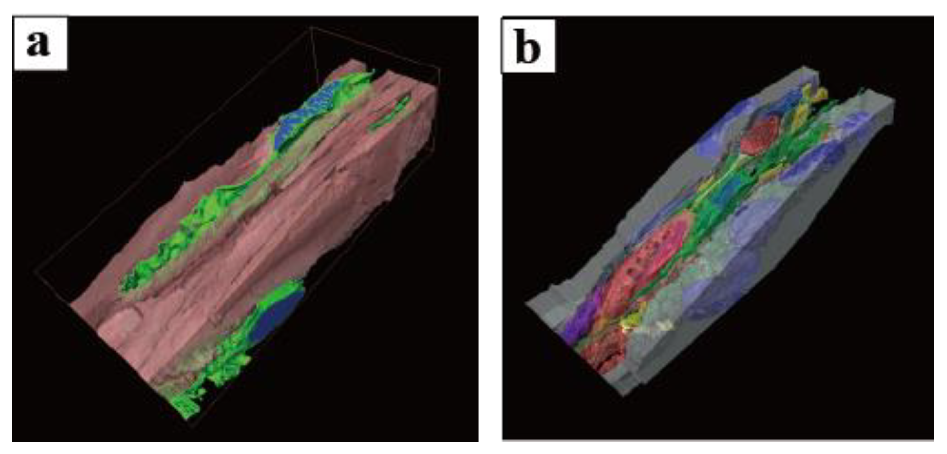 Ijms 25 04128 g007 Ijms 25 04128 g007