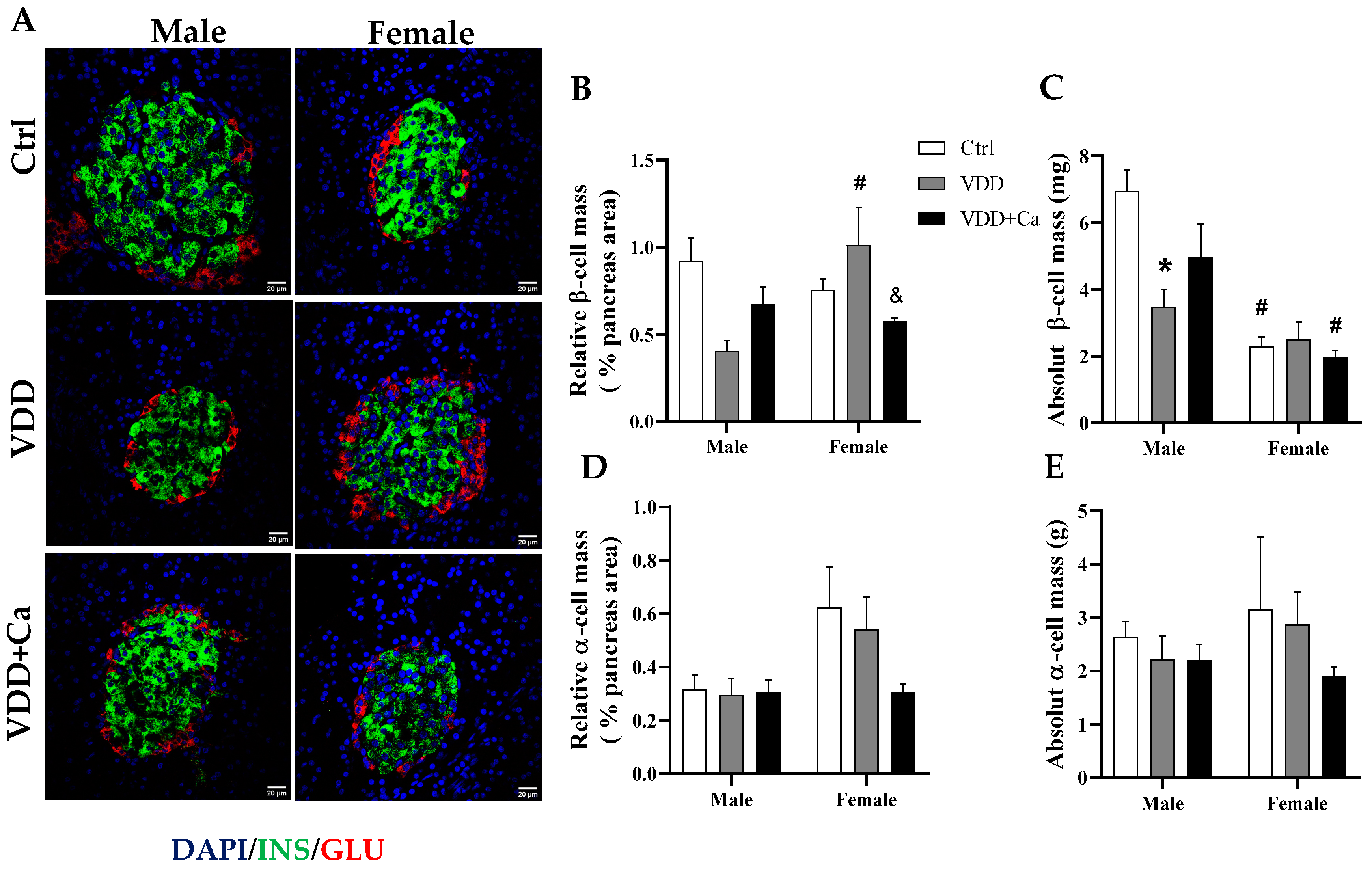 Ijms 25 04136 g006 Ijms 25 04136 g006