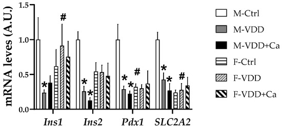 Maternal Vitamin D Deficiency Impairs the Development of β Cells in ...