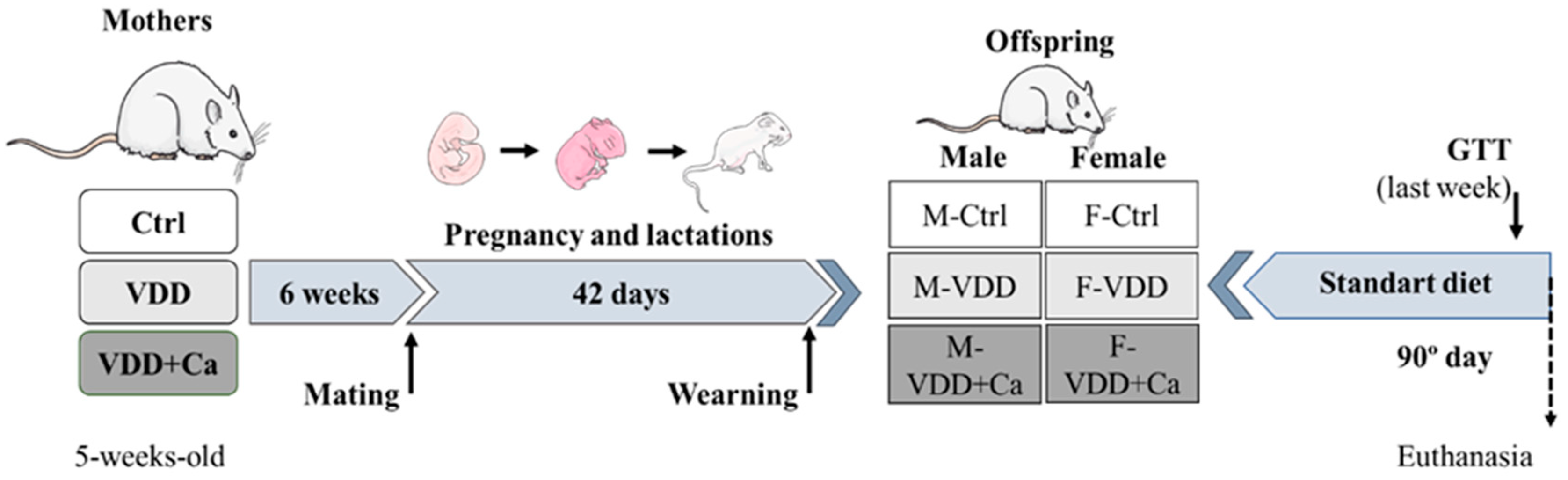 Ijms 25 04136 g008 Ijms 25 04136 g008
