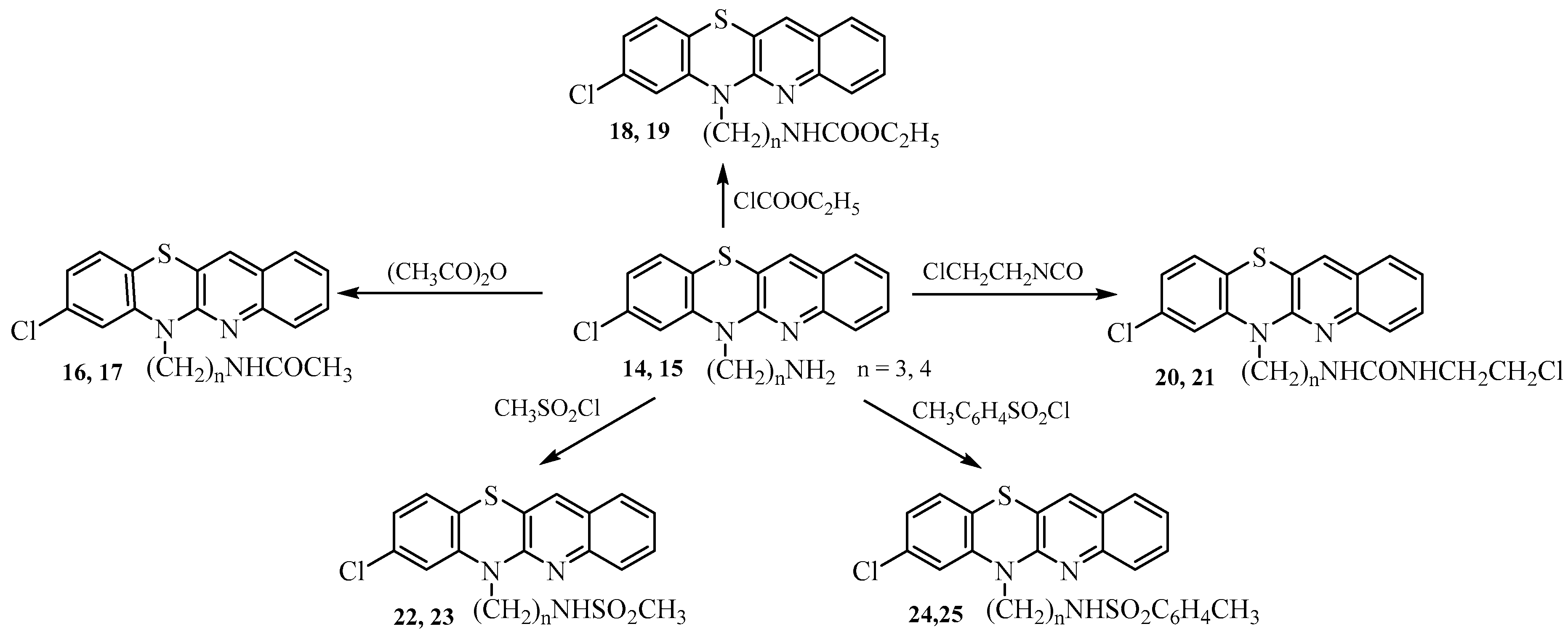 Ijms 25 04148 sch005
