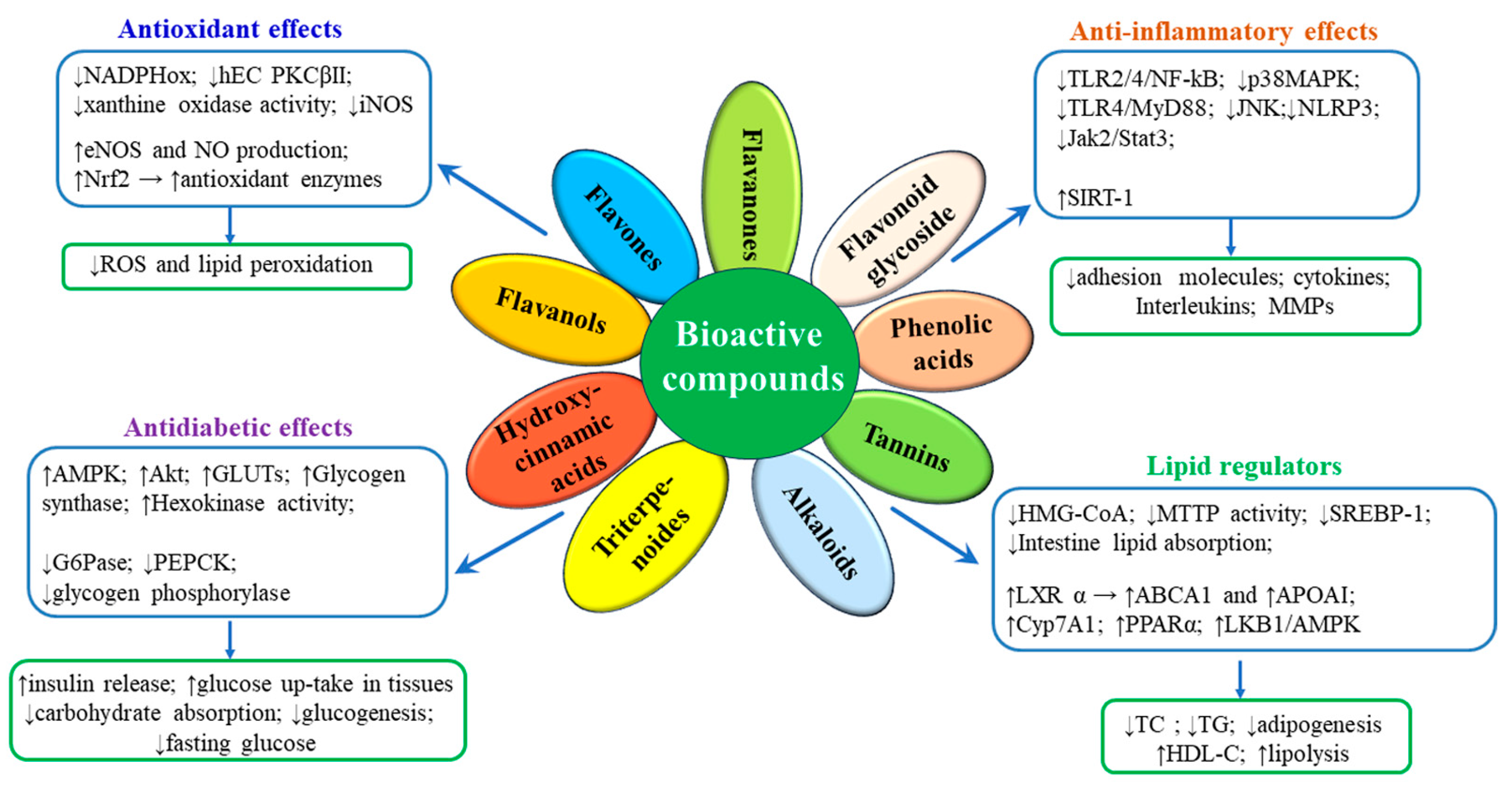 Bioactive Compounds Formulated in Phytosomes Administered as
