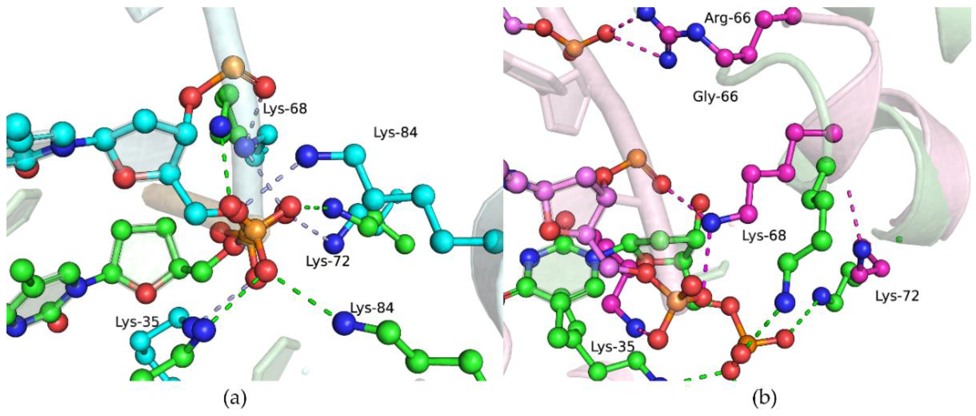 Ijms 25 04182 g006 Ijms 25 04182 g006