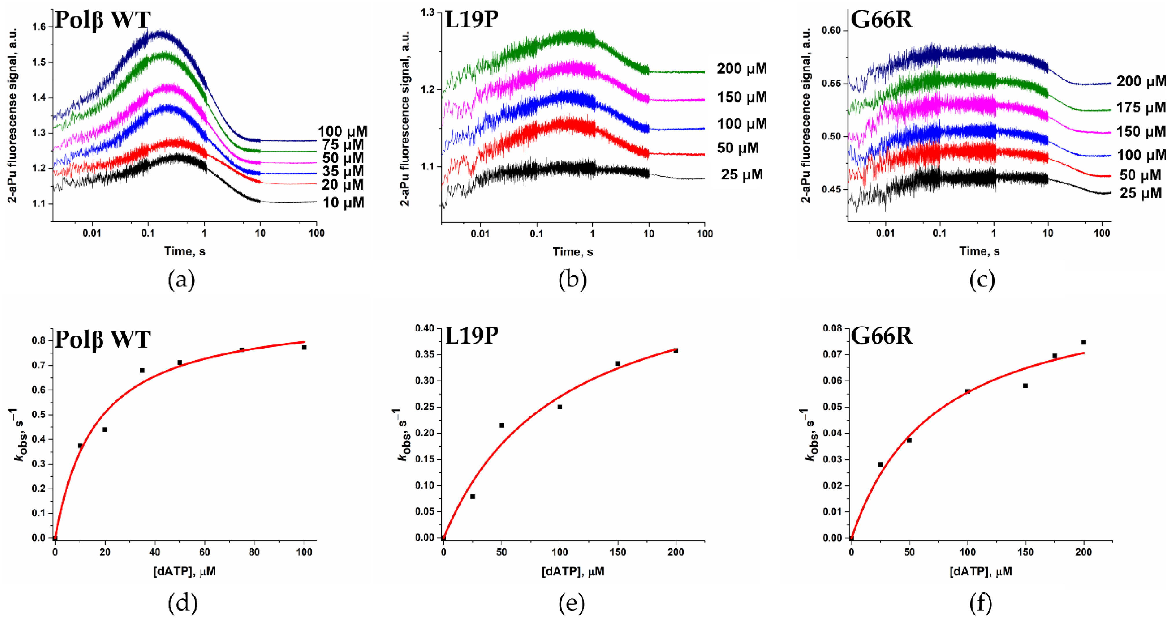 Ijms 25 04182 g012 Ijms 25 04182 g012
