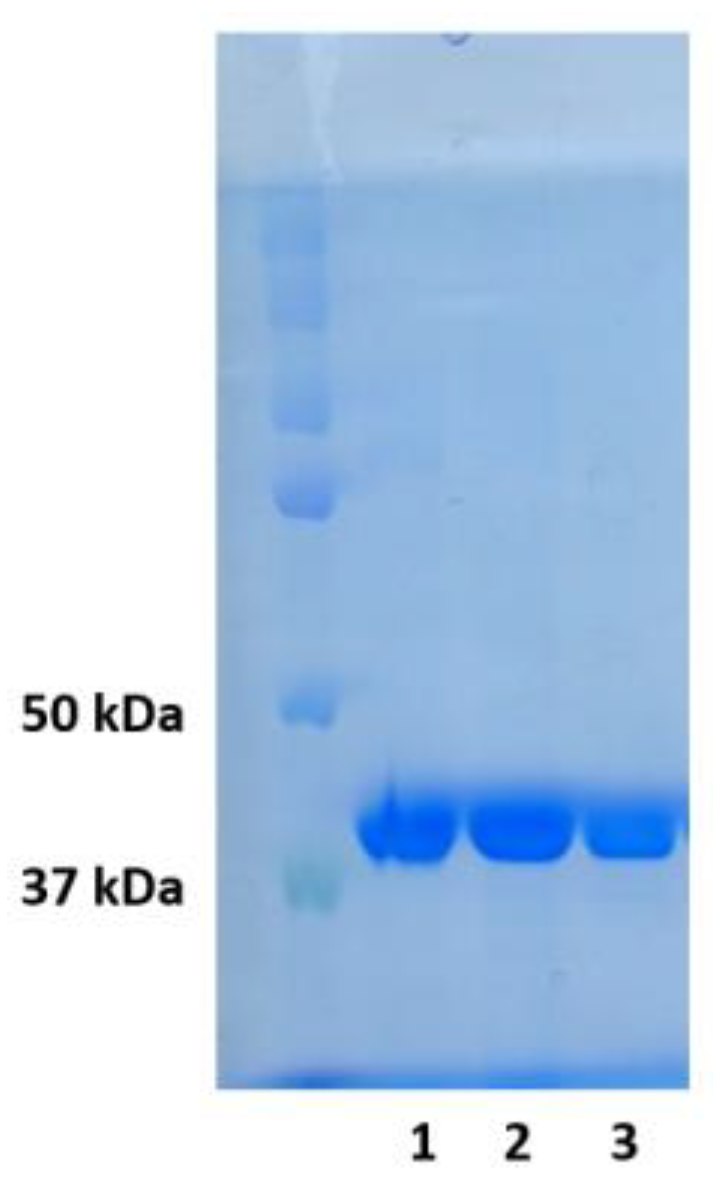 Ijms 25 04182 g014 Ijms 25 04182 g014