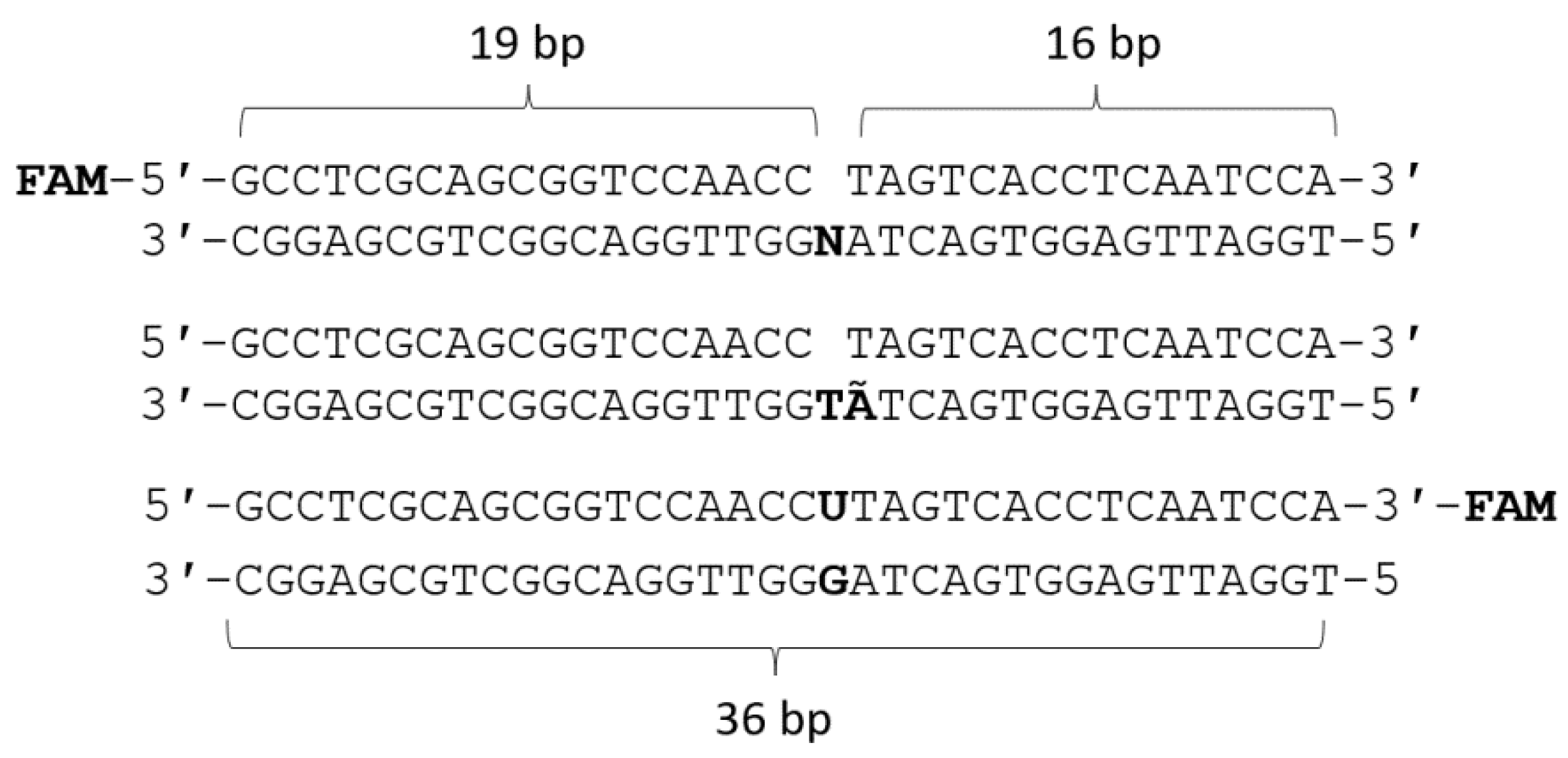 Ijms 25 04182 g015 Ijms 25 04182 g015