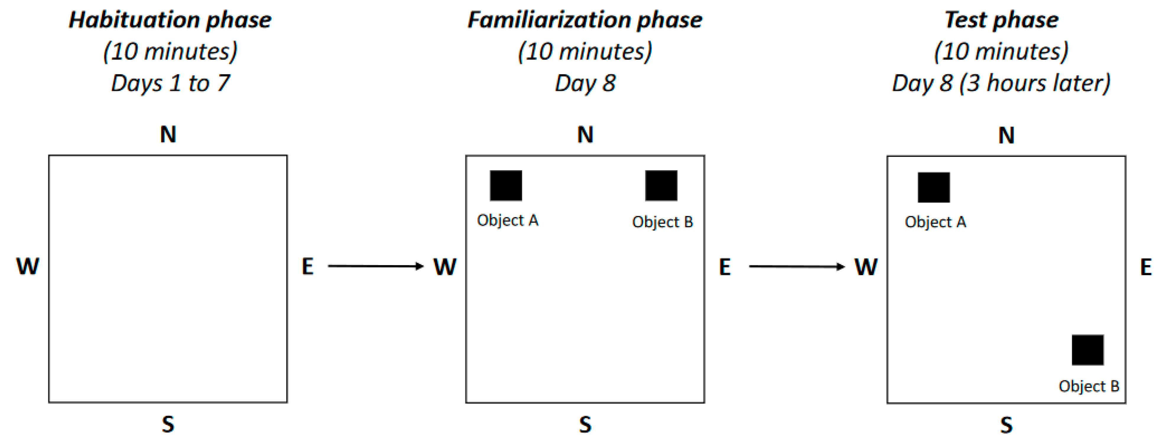 Ijms 25 04194 g002 Ijms 25 04194 g002