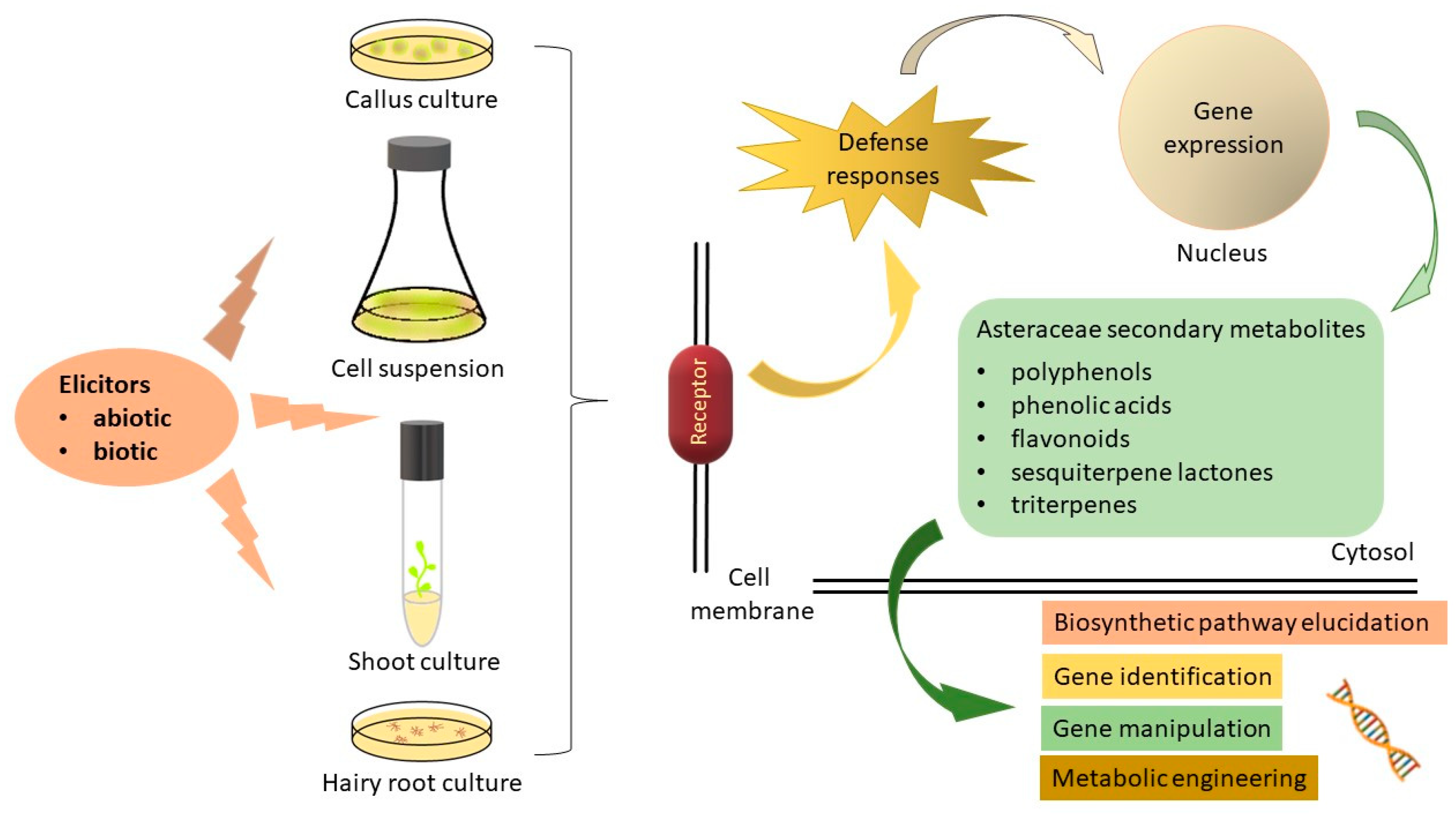 Ijms 25 04197 g001 Ijms 25 04197 g001