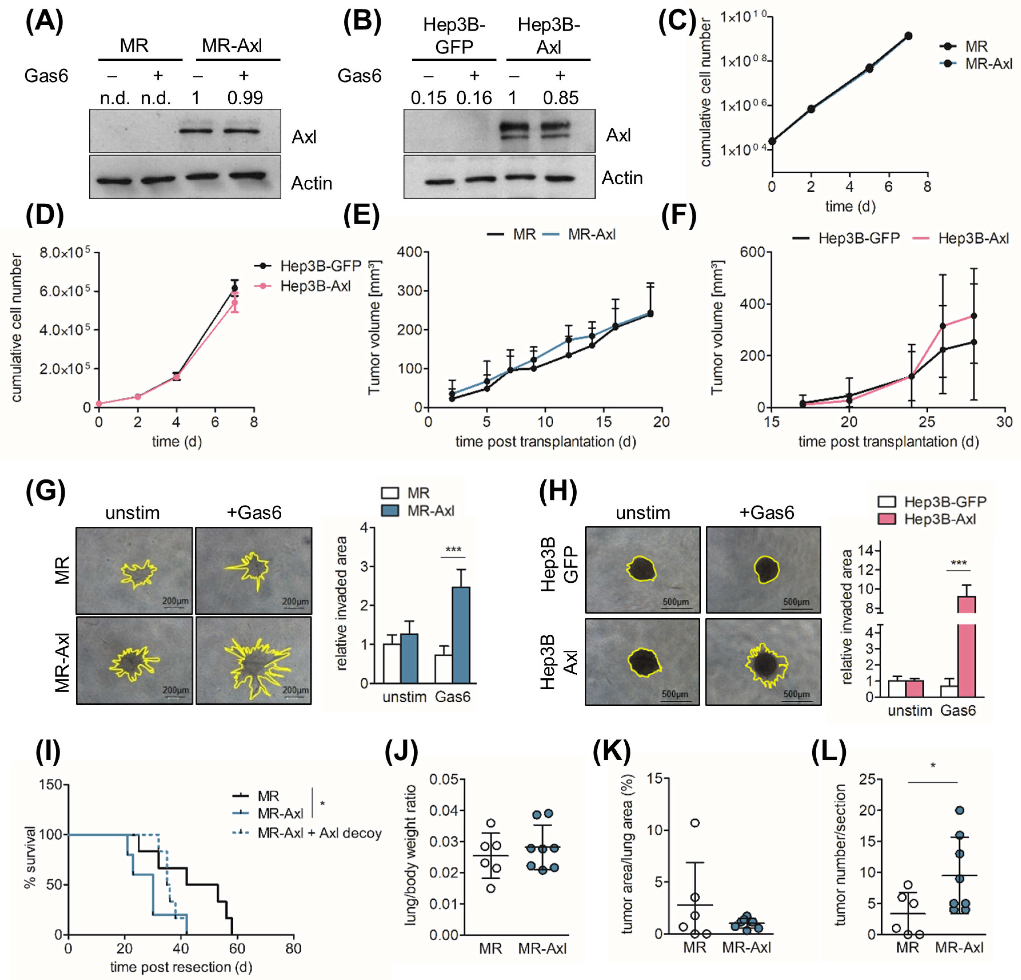 Ijms 25 04202 g001 Ijms 25 04202 g001