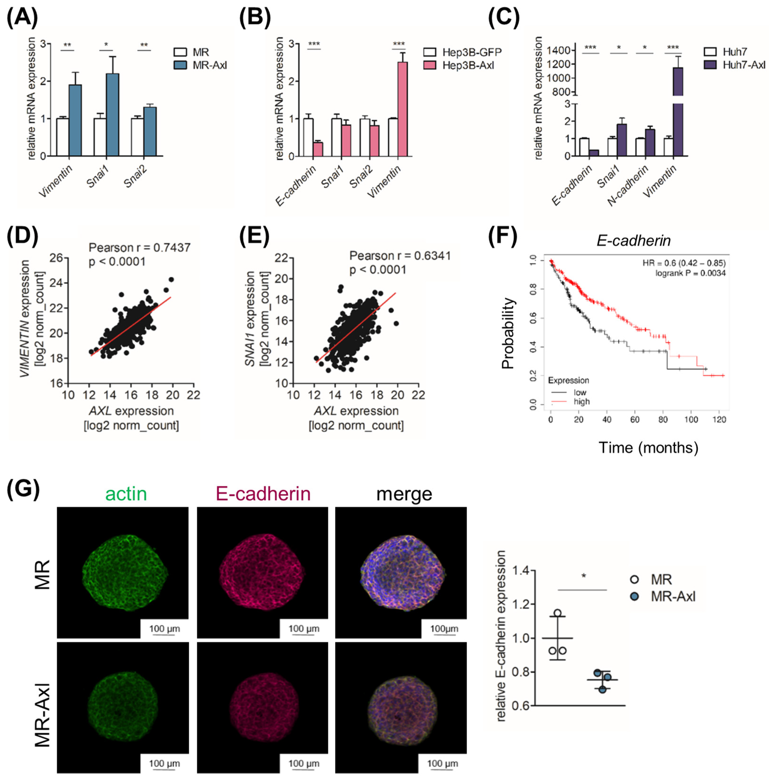 Ijms 25 04202 g002 Ijms 25 04202 g002
