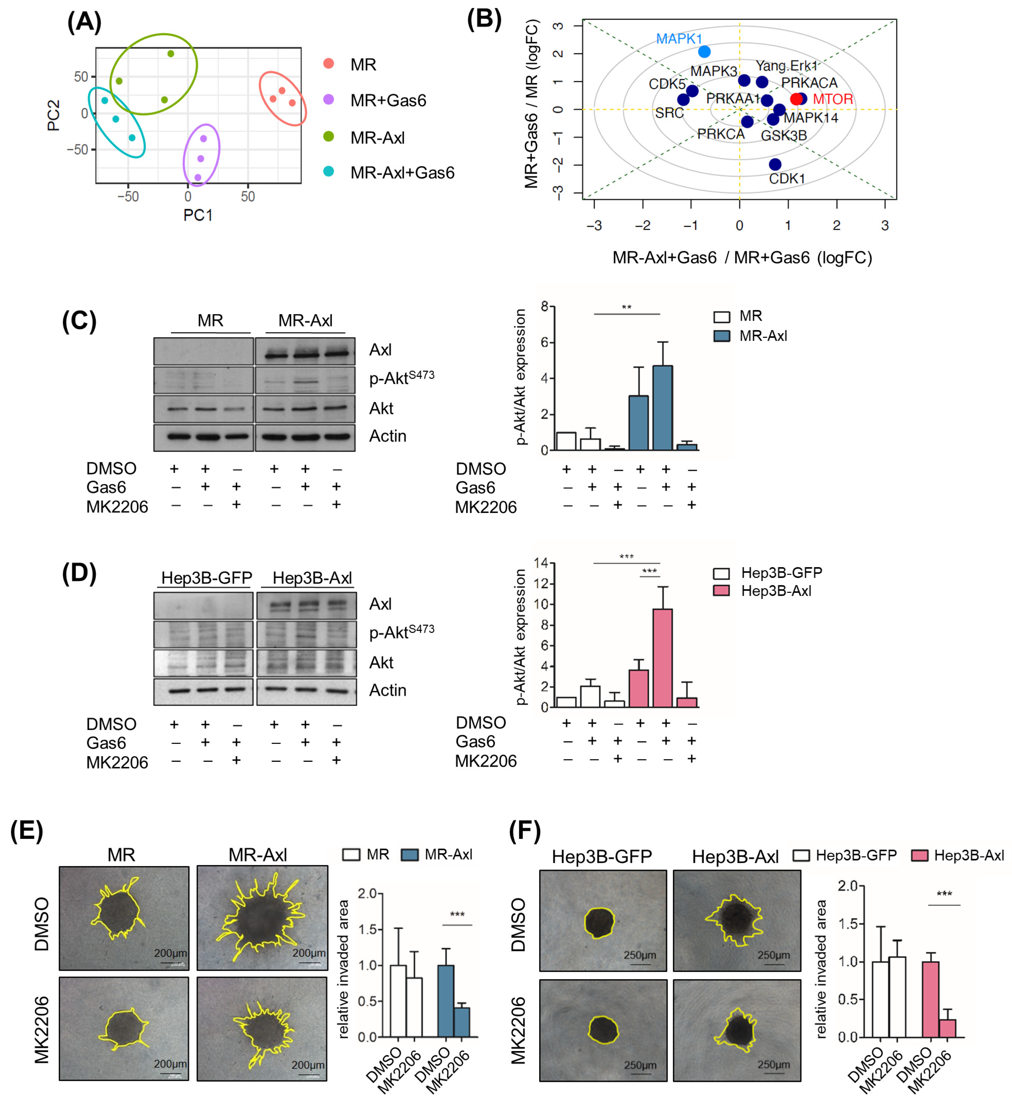 Ijms 25 04202 g003 Ijms 25 04202 g003