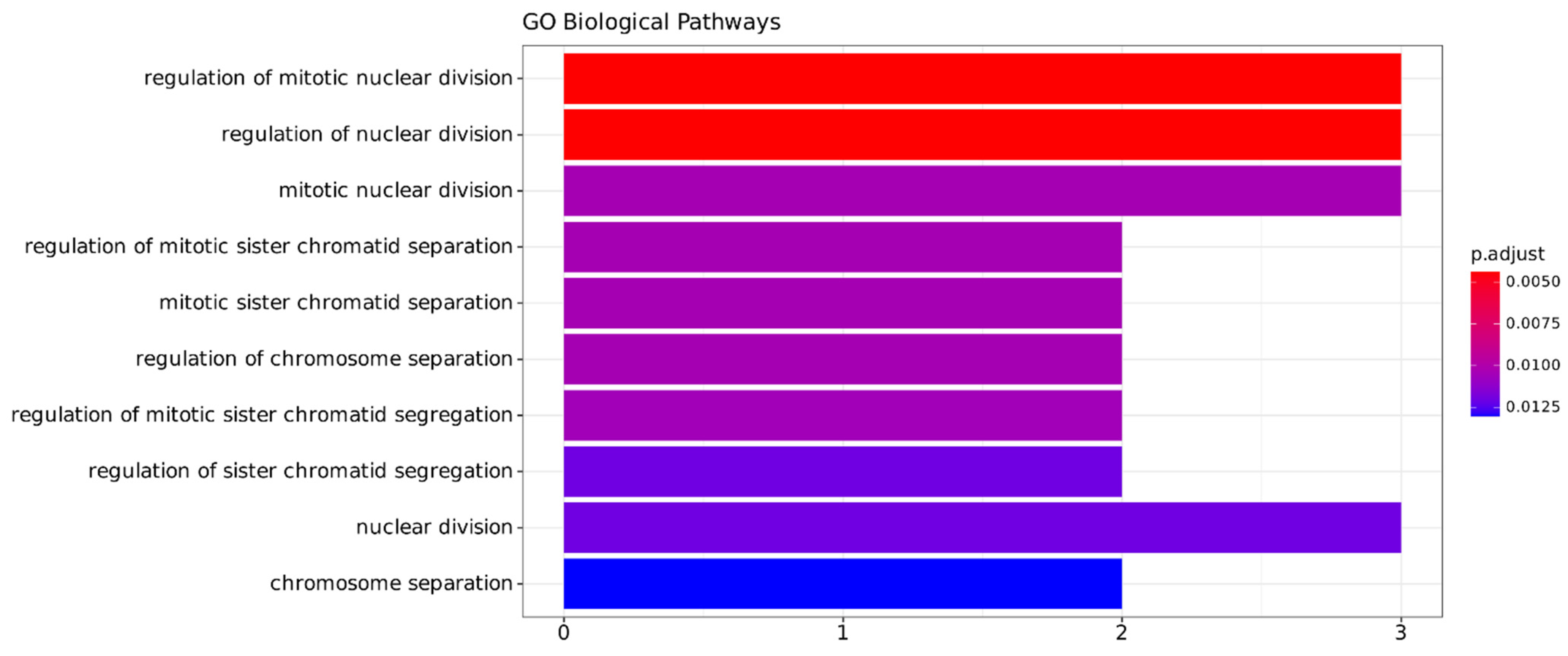 Ijms 25 04214 g005 Ijms 25 04214 g005