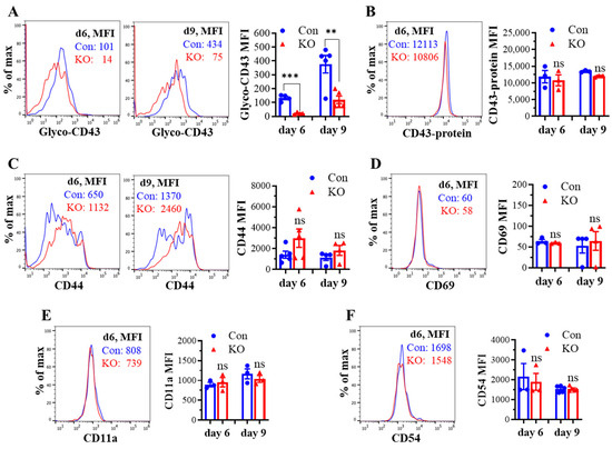 Runx3 Regulates CD8+ T Cell Local Expansion and CD43 Glycosylation