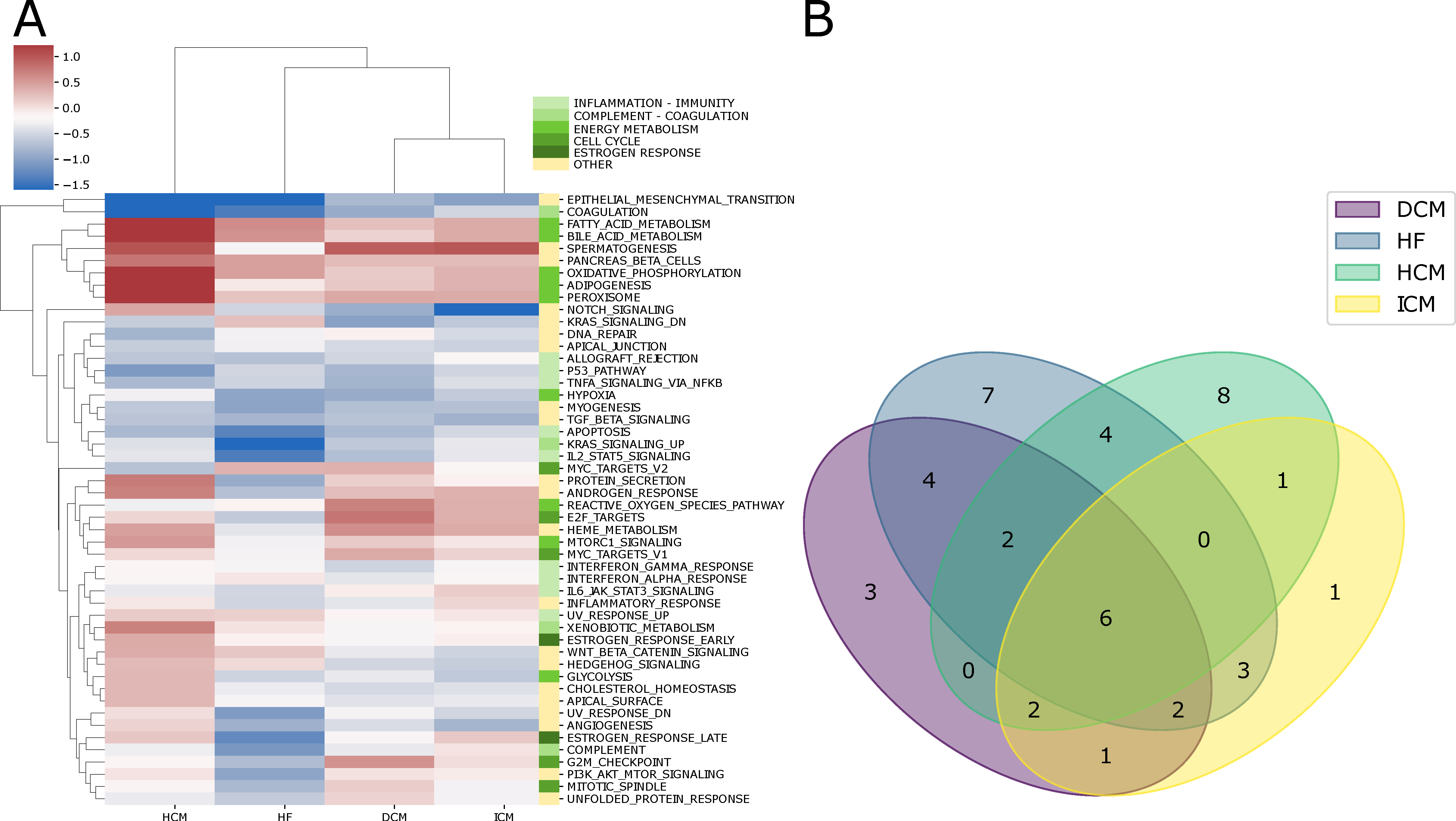 Ijms 25 04224 g003 Ijms 25 04224 g003