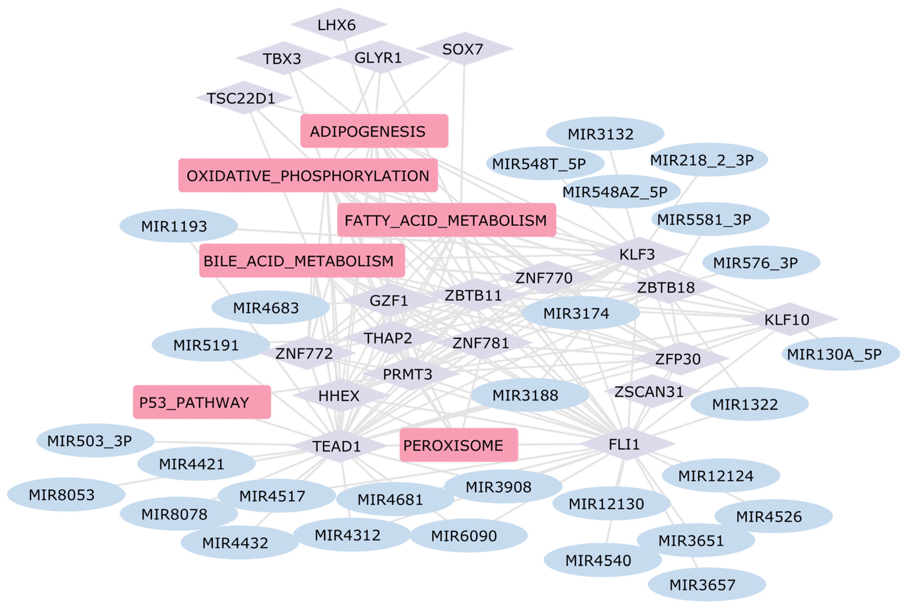 Ijms 25 04224 g007 Ijms 25 04224 g007