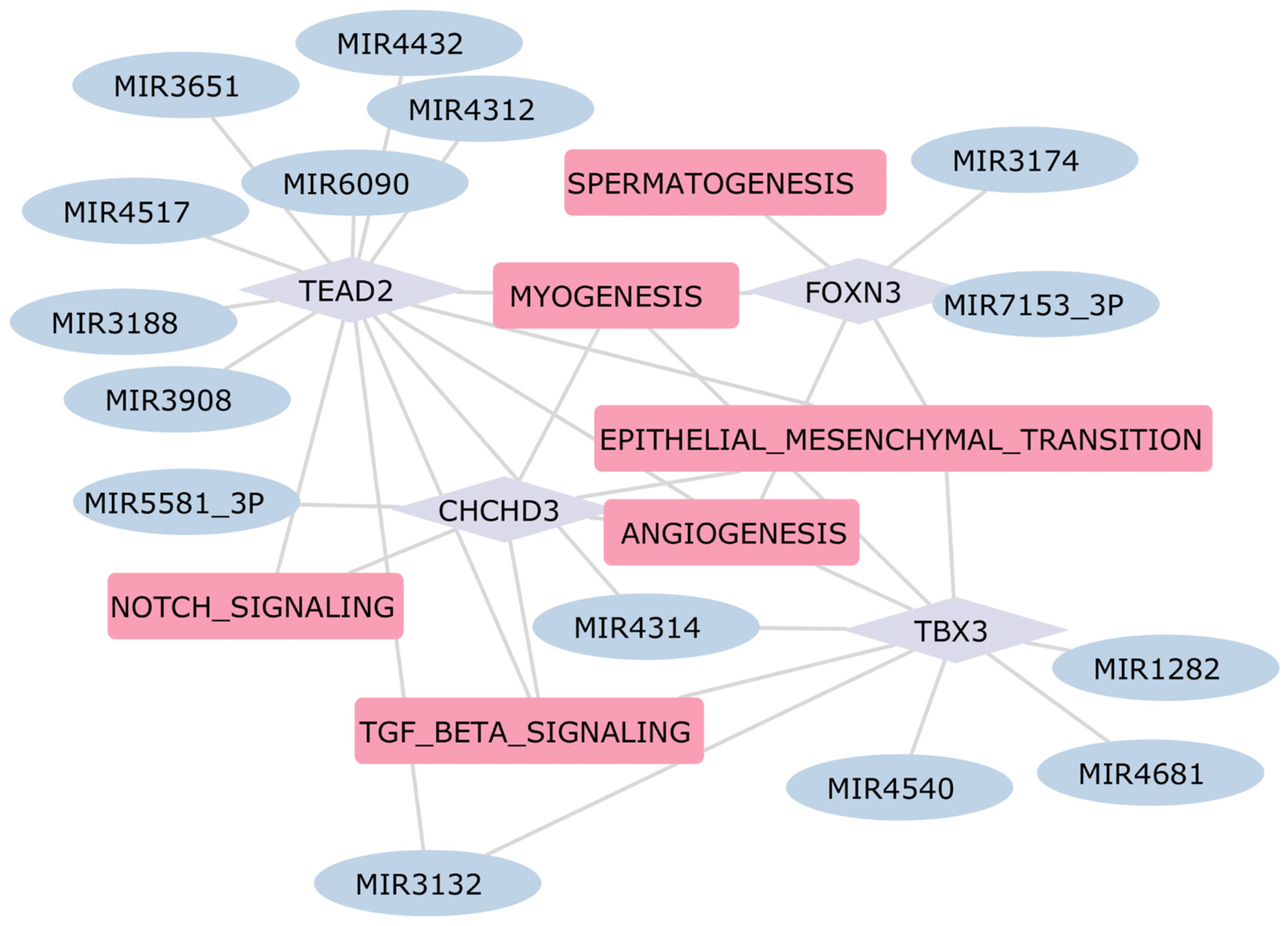 Ijms 25 04224 g008 Ijms 25 04224 g008