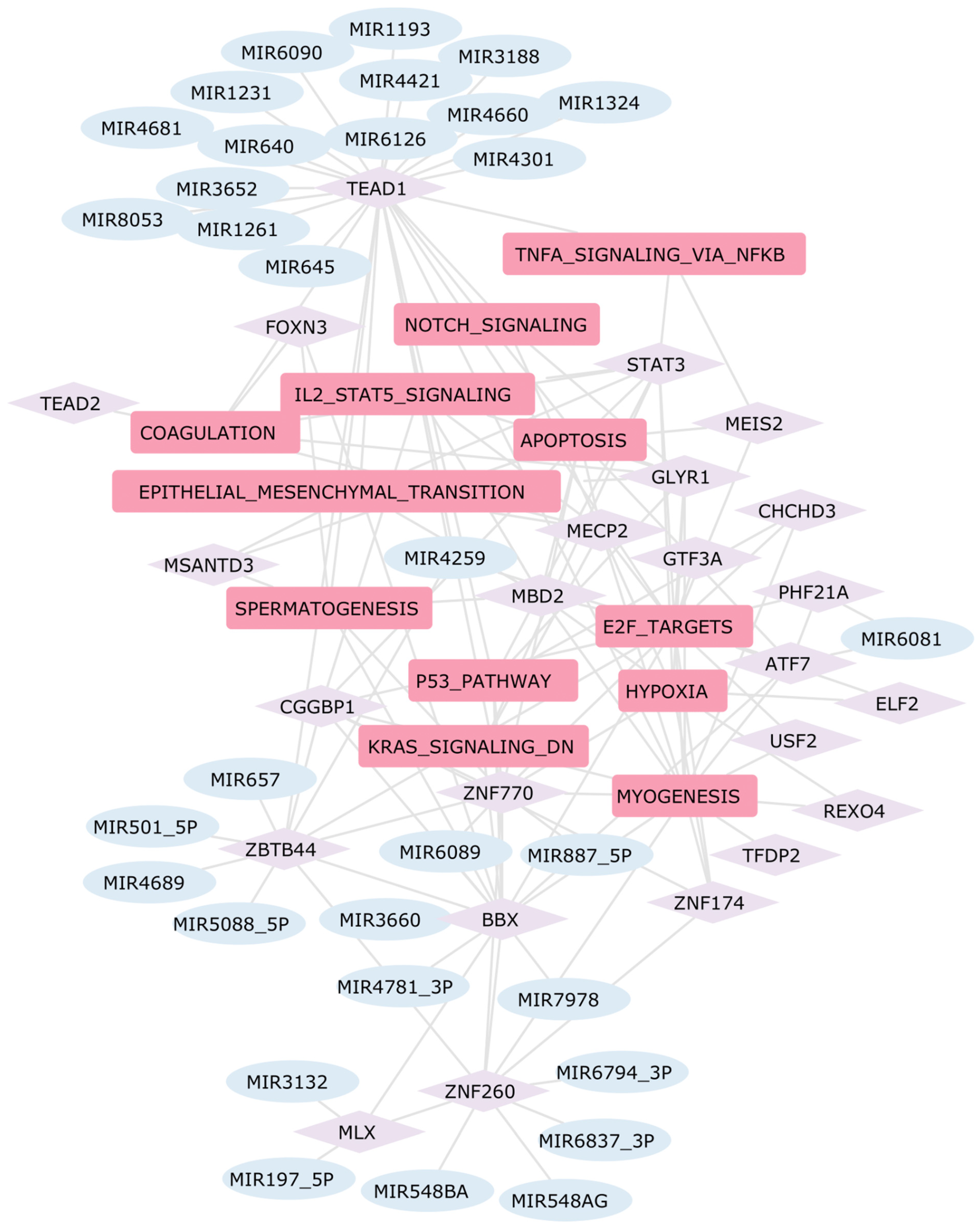 Ijms 25 04224 g009 Ijms 25 04224 g009