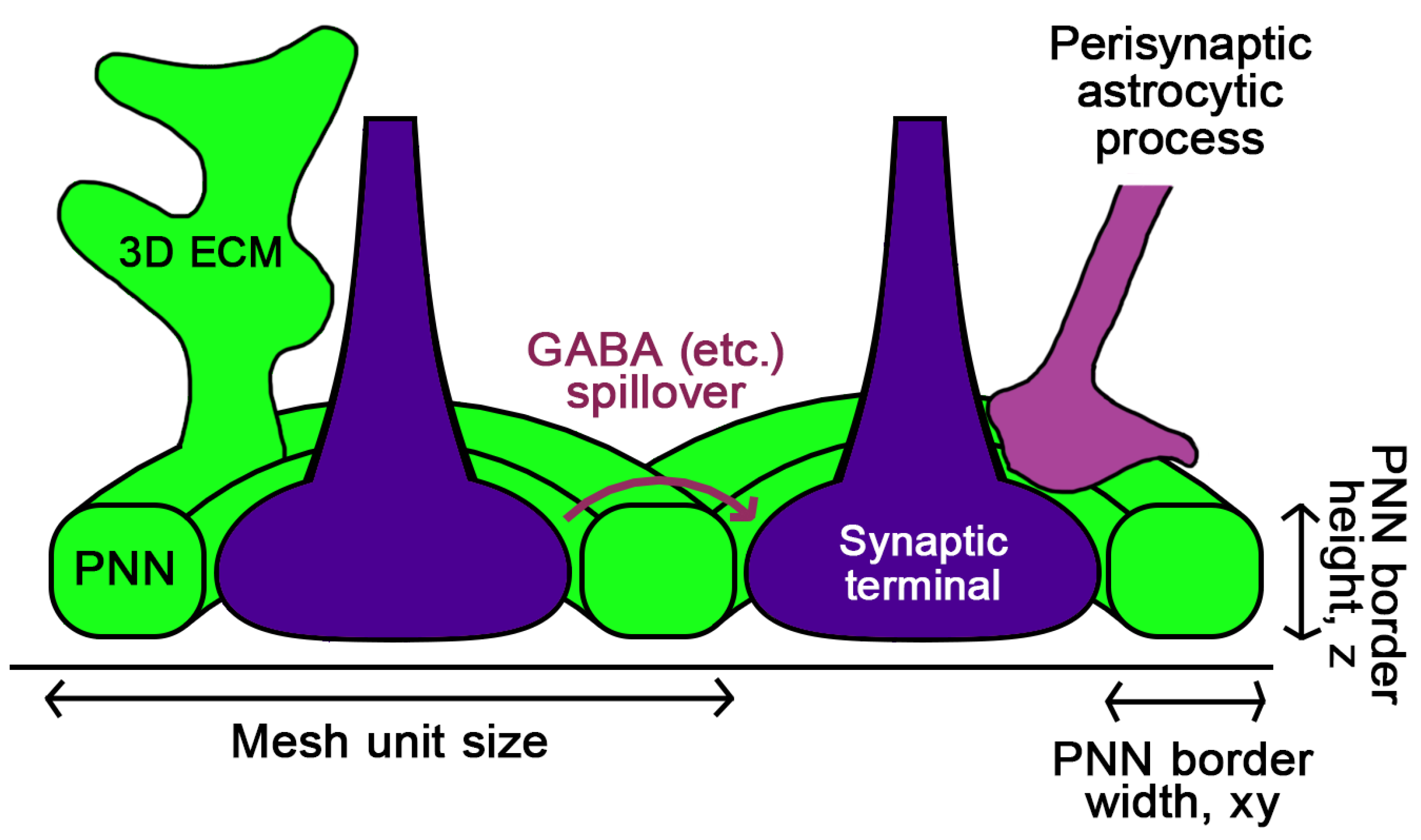 Ijms 25 04227 g003 Ijms 25 04227 g003
