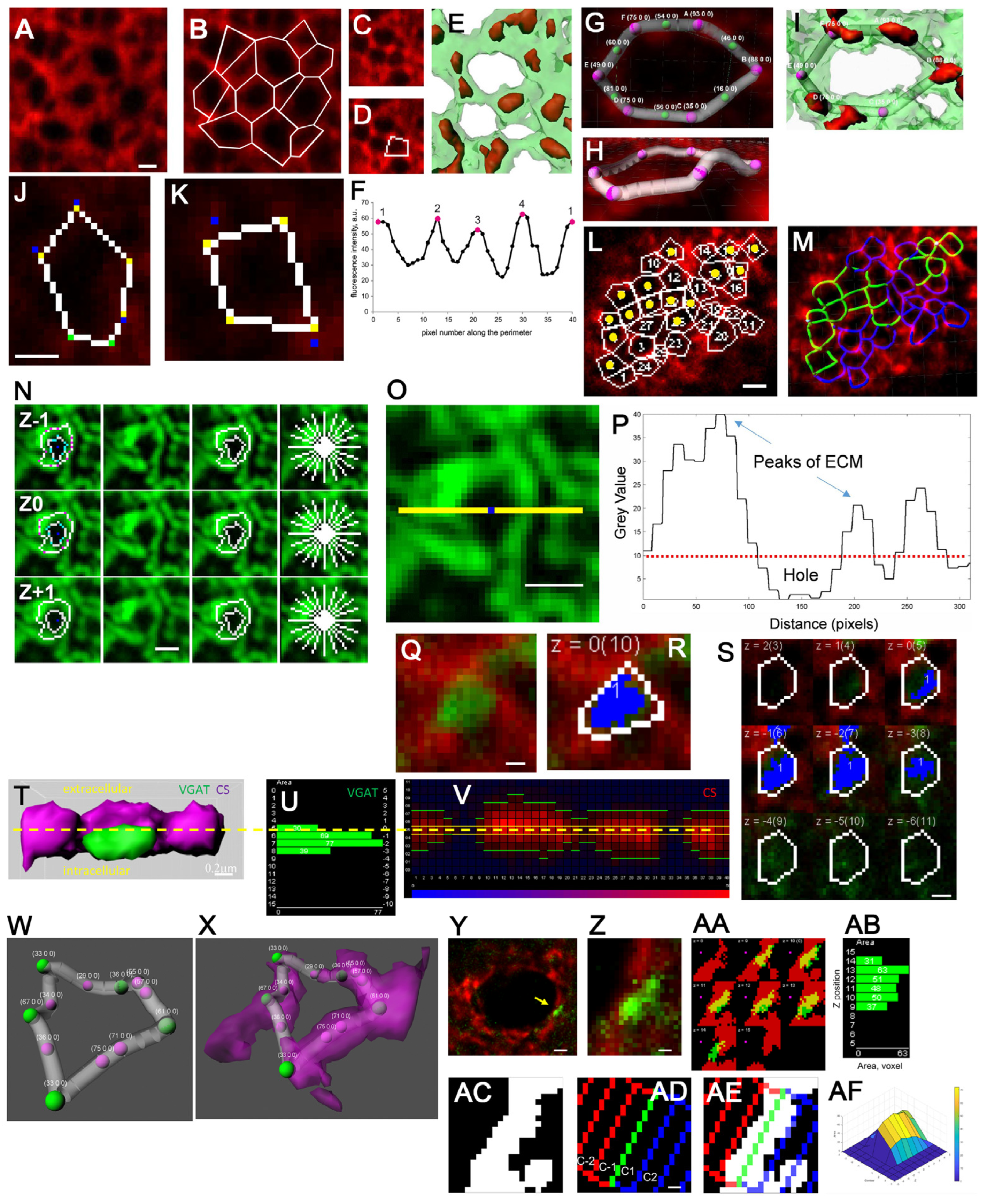 Ijms 25 04227 g004 Ijms 25 04227 g004