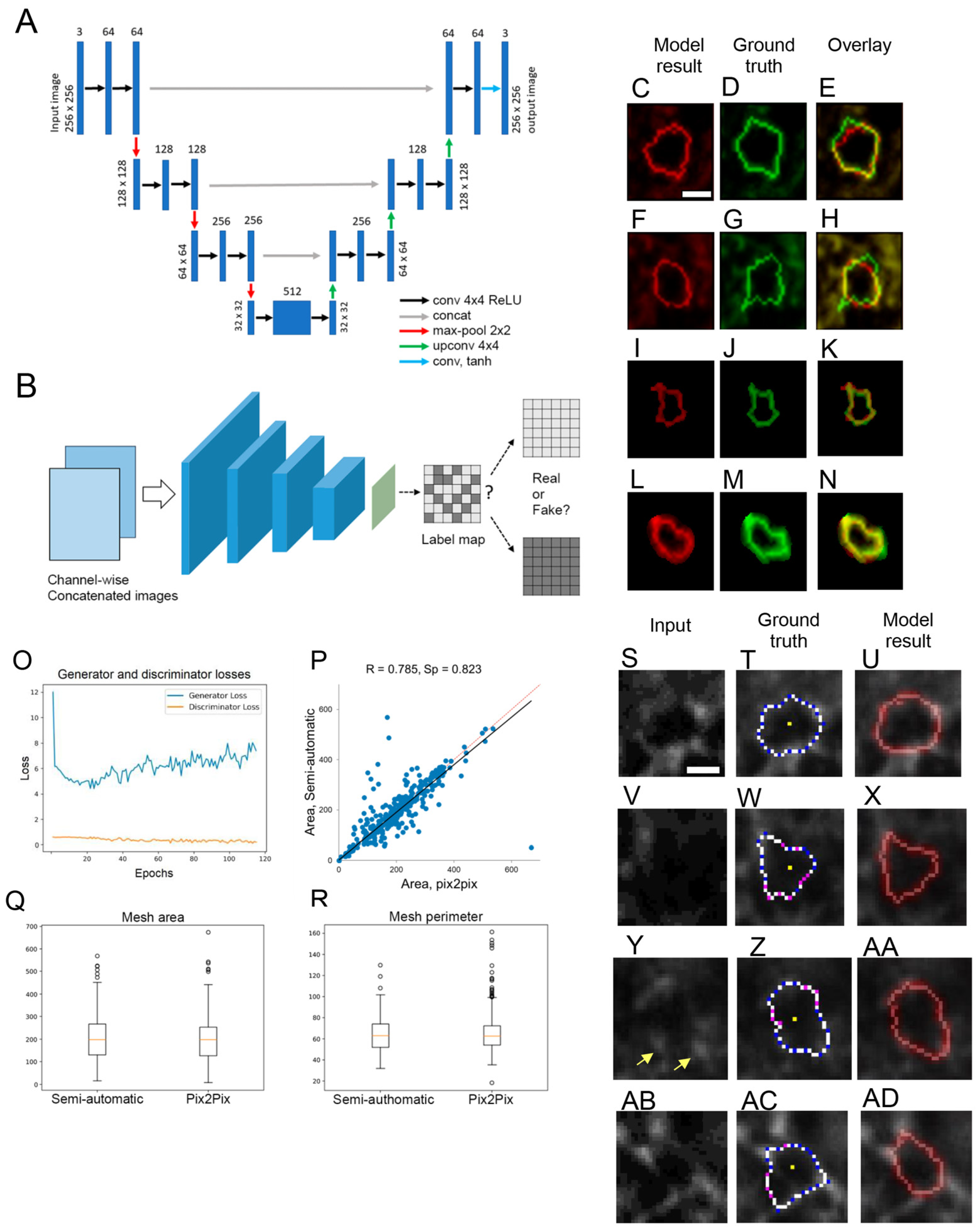 Ijms 25 04227 g005 Ijms 25 04227 g005