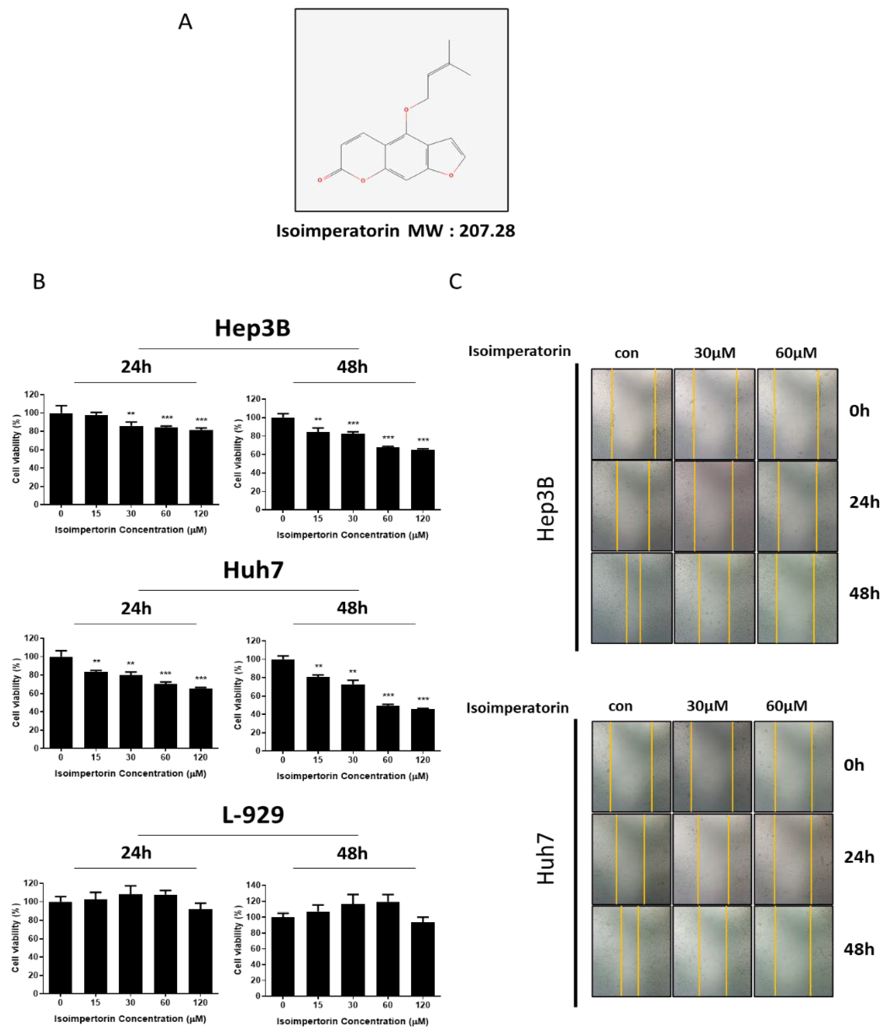 Ijms 25 04248 g001 Ijms 25 04248 g001