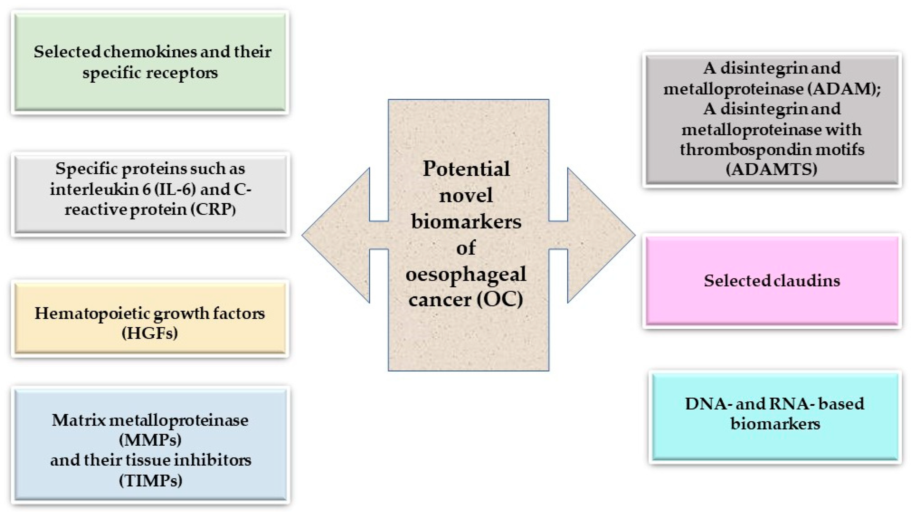 Ijms 25 04253 g001 Ijms 25 04253 g001