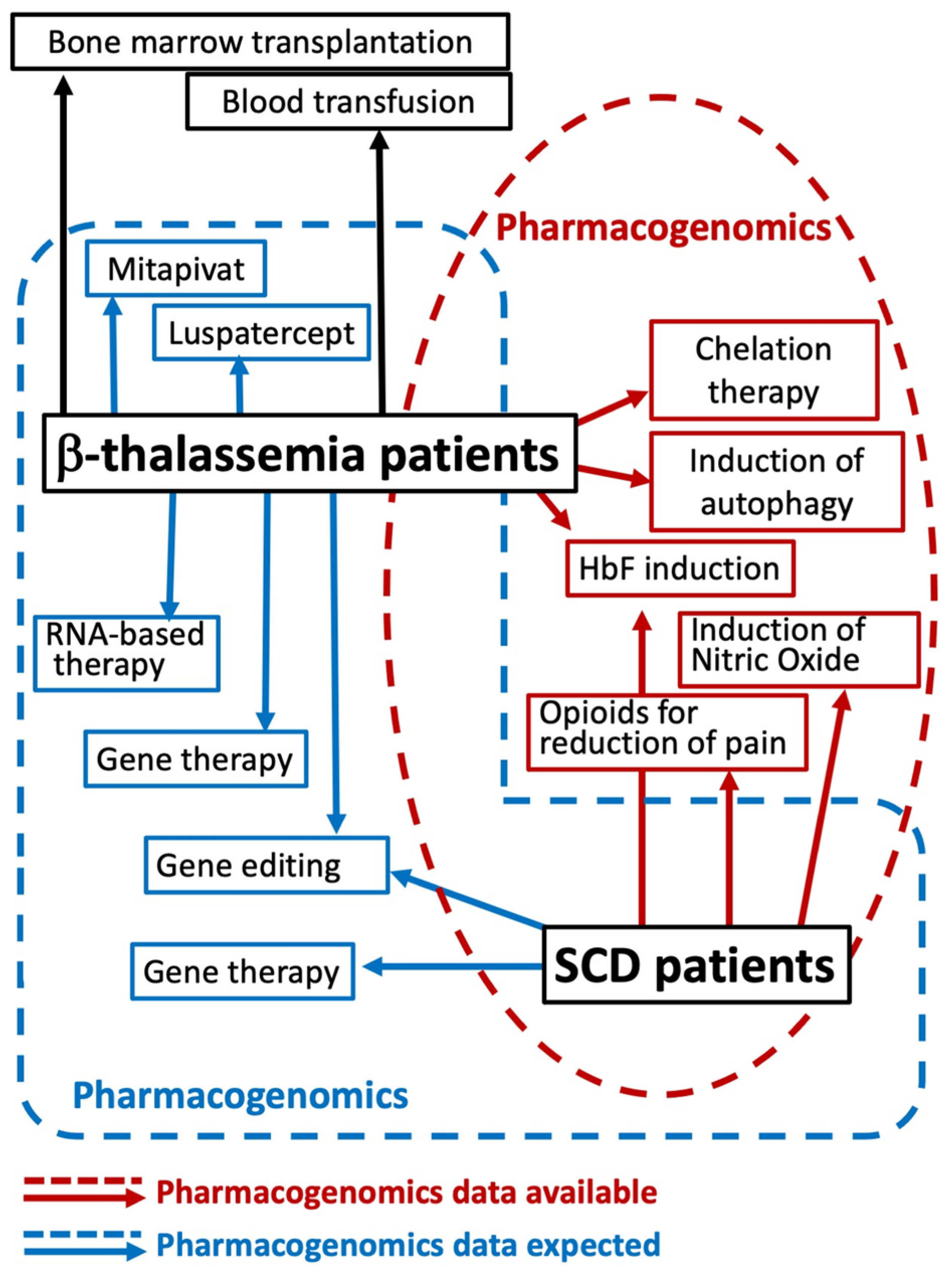 Ijms 25 04263 g002 Ijms 25 04263 g002