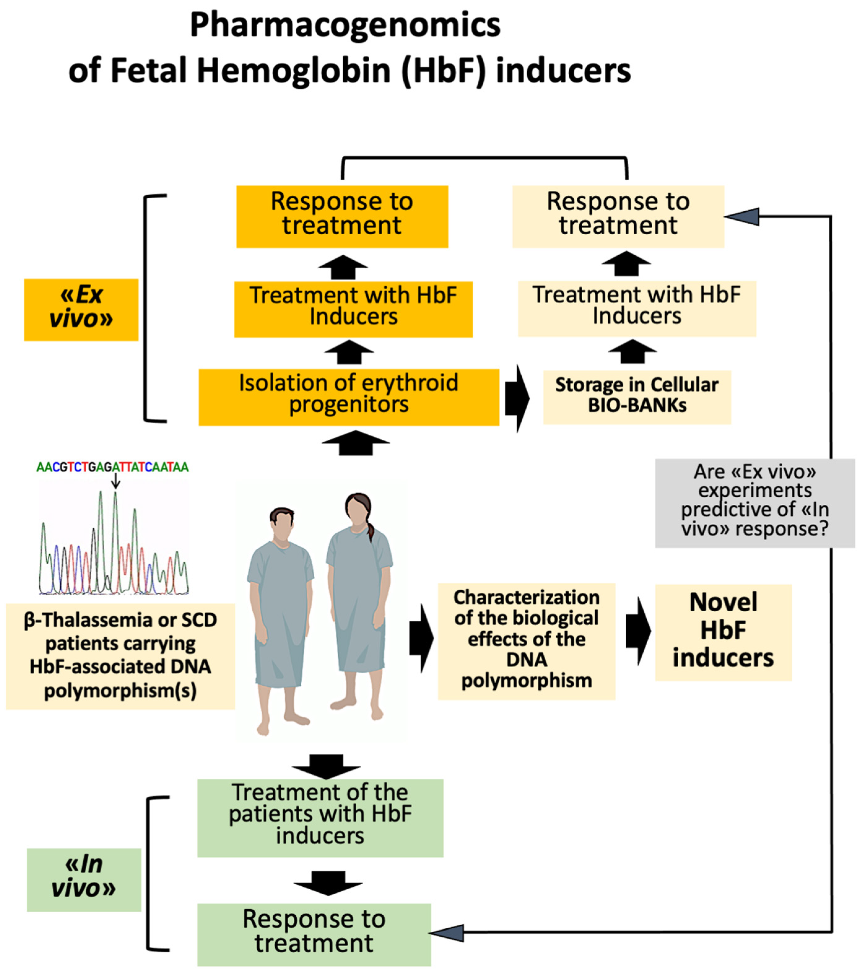 Ijms 25 04263 g003 Ijms 25 04263 g003