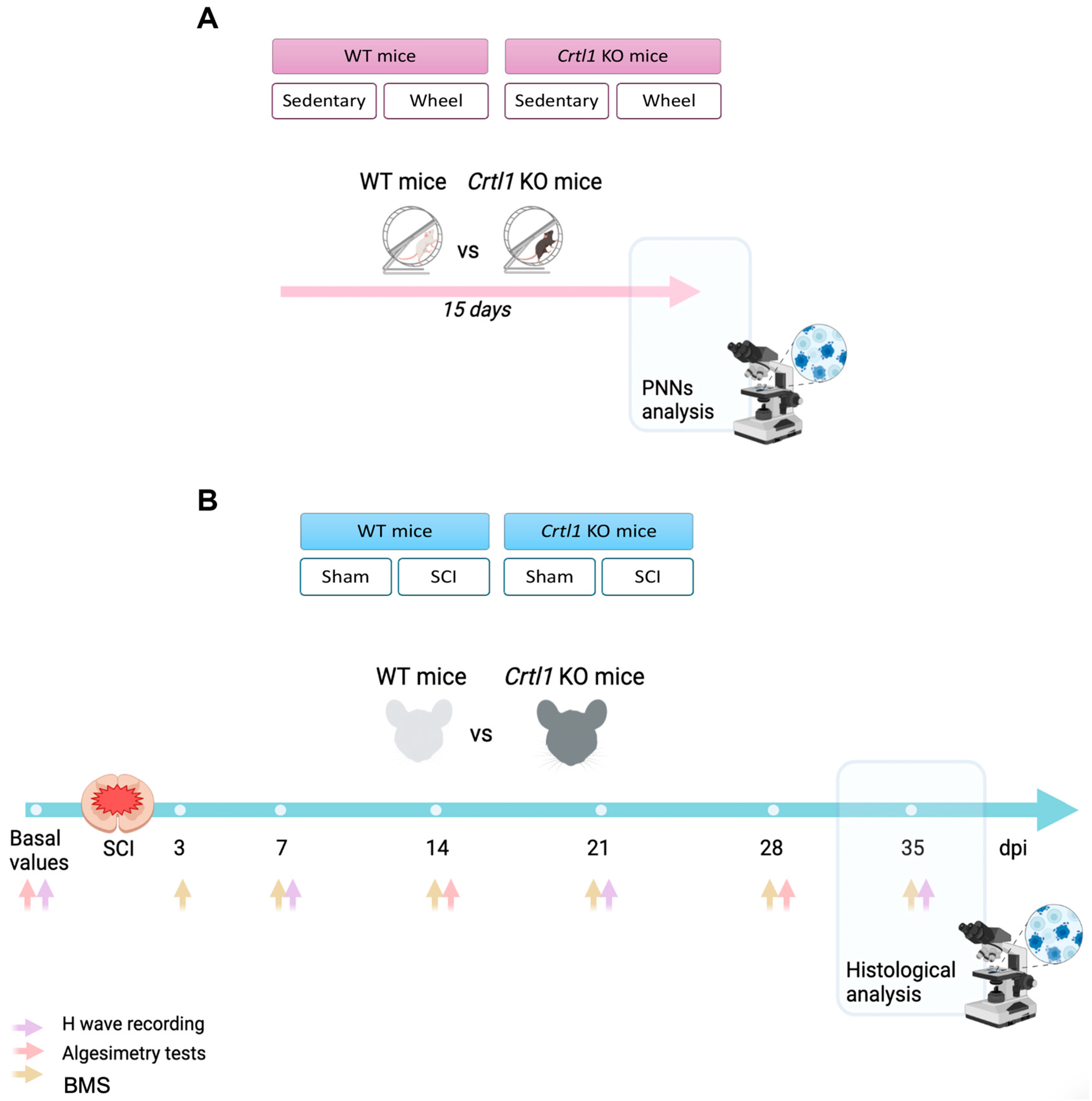 Ijms 25 04267 g001 Ijms 25 04267 g001